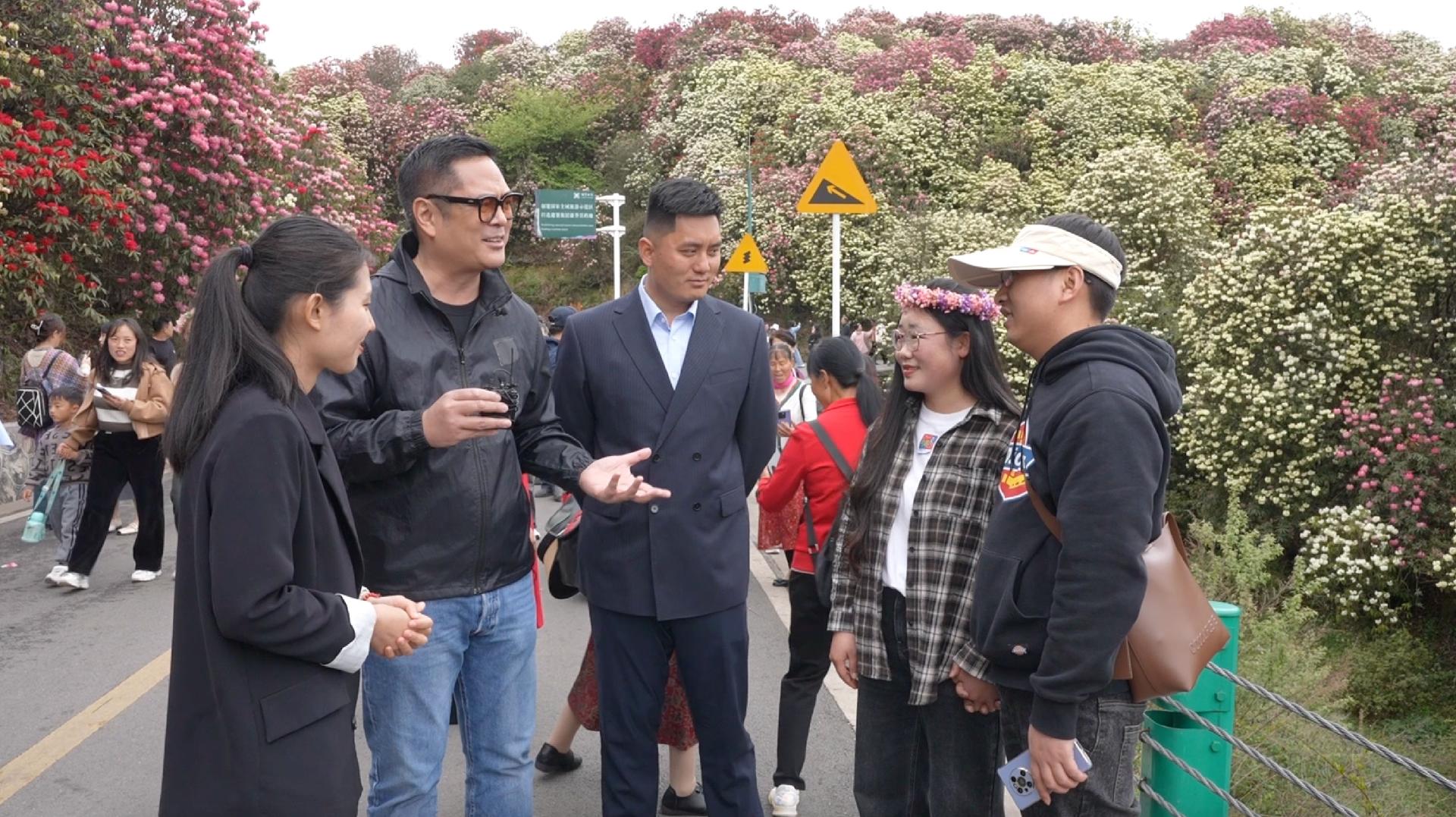 CGTN anchor chats with visitors in Guizhou's azalea forest - CGTN