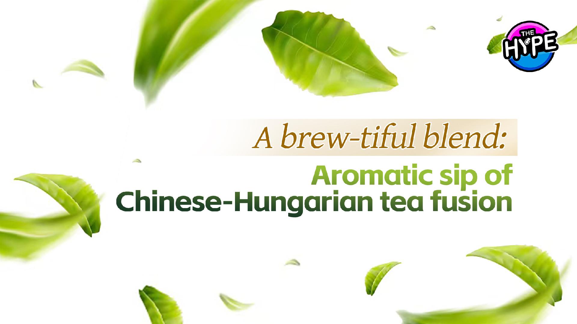 Chinese professor establishes a tea culture class in Hungary