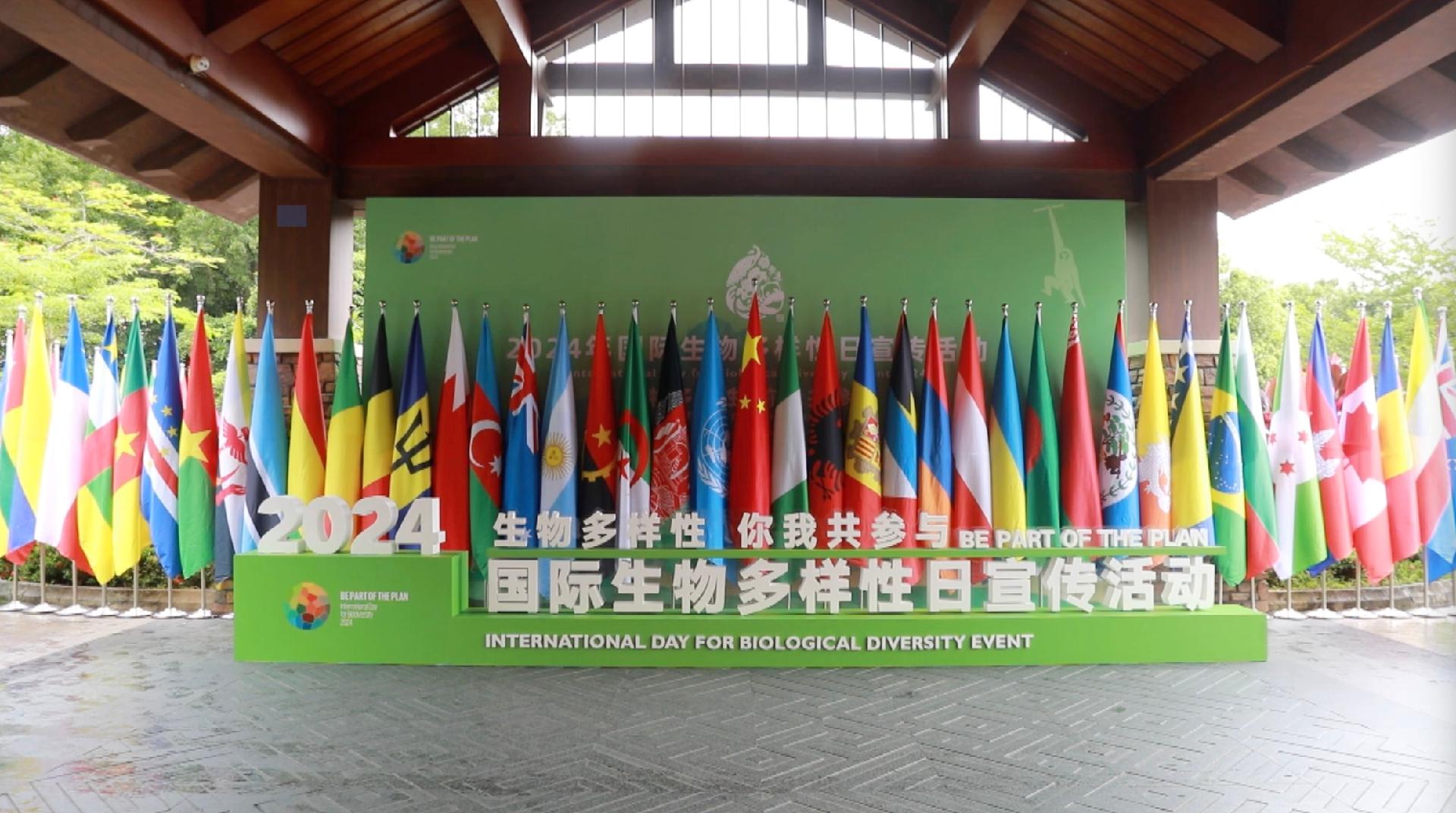 China reaffirms commitment to biodiversity conservation - CGTN