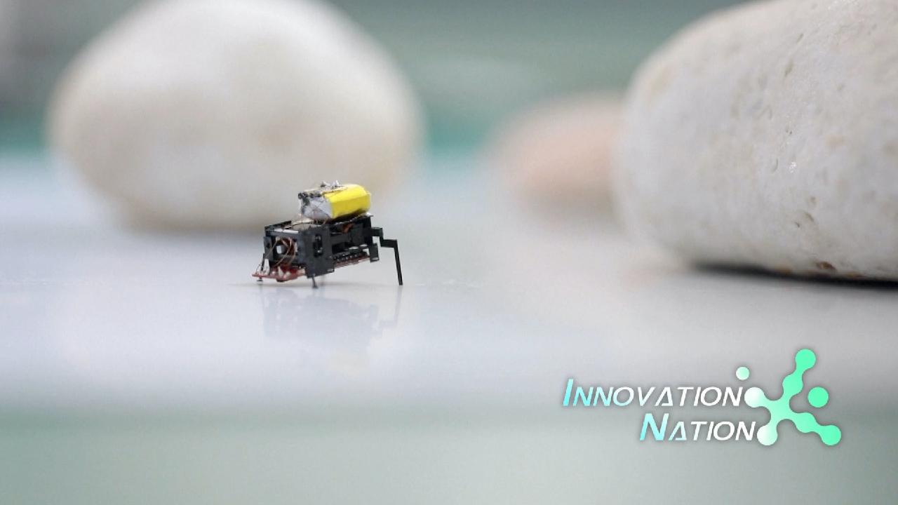 China's bug-like microbot races at blistering speeds - CGTN