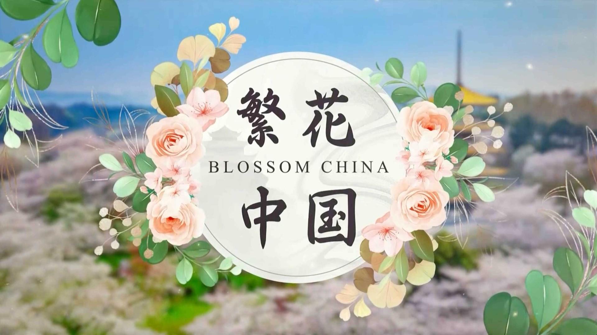 Blossom China: See China in full bloom - CGTN