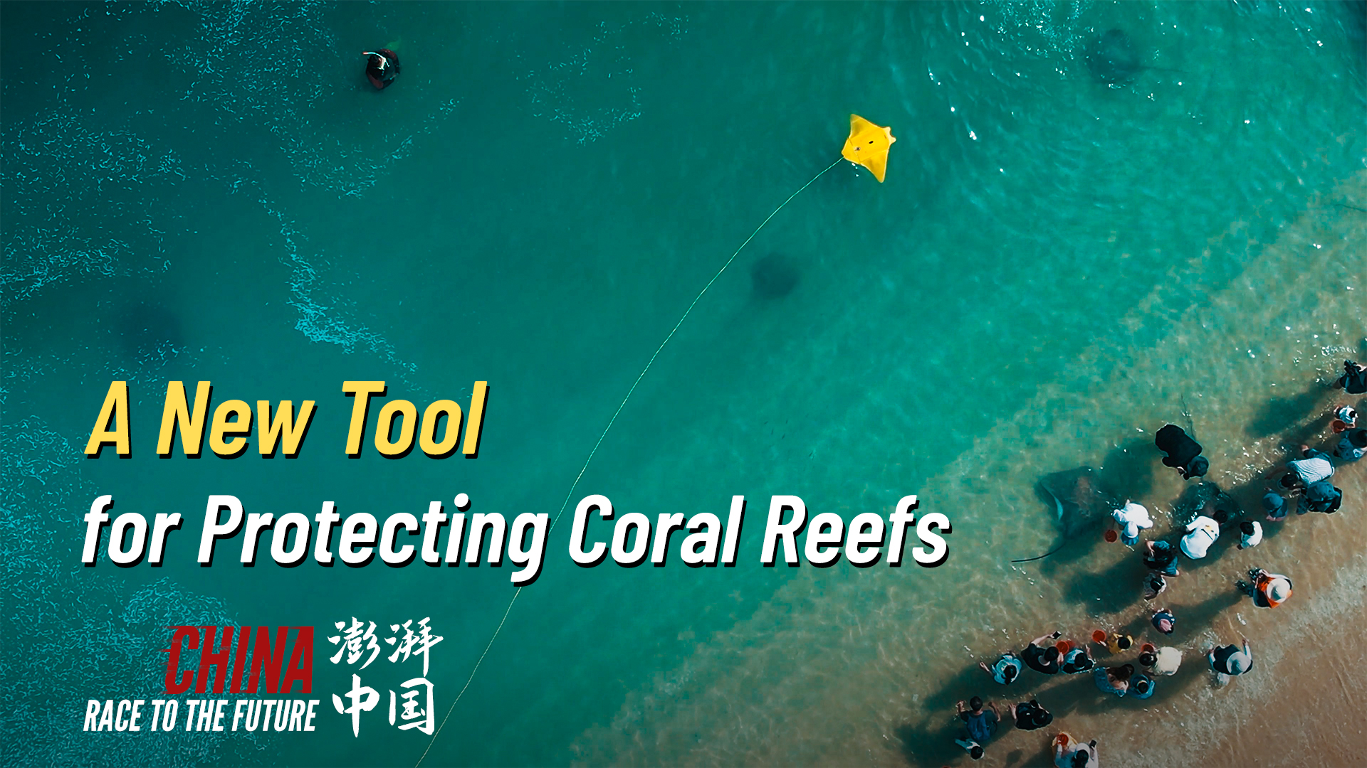 Race to the Future: A new tool for protecting coral reefs