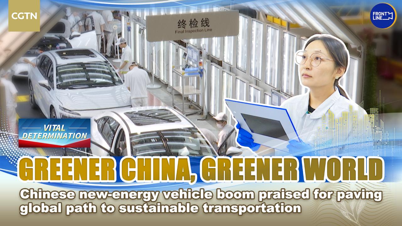 Chinese NEV boom praised for paving path to sustainable transportation ...