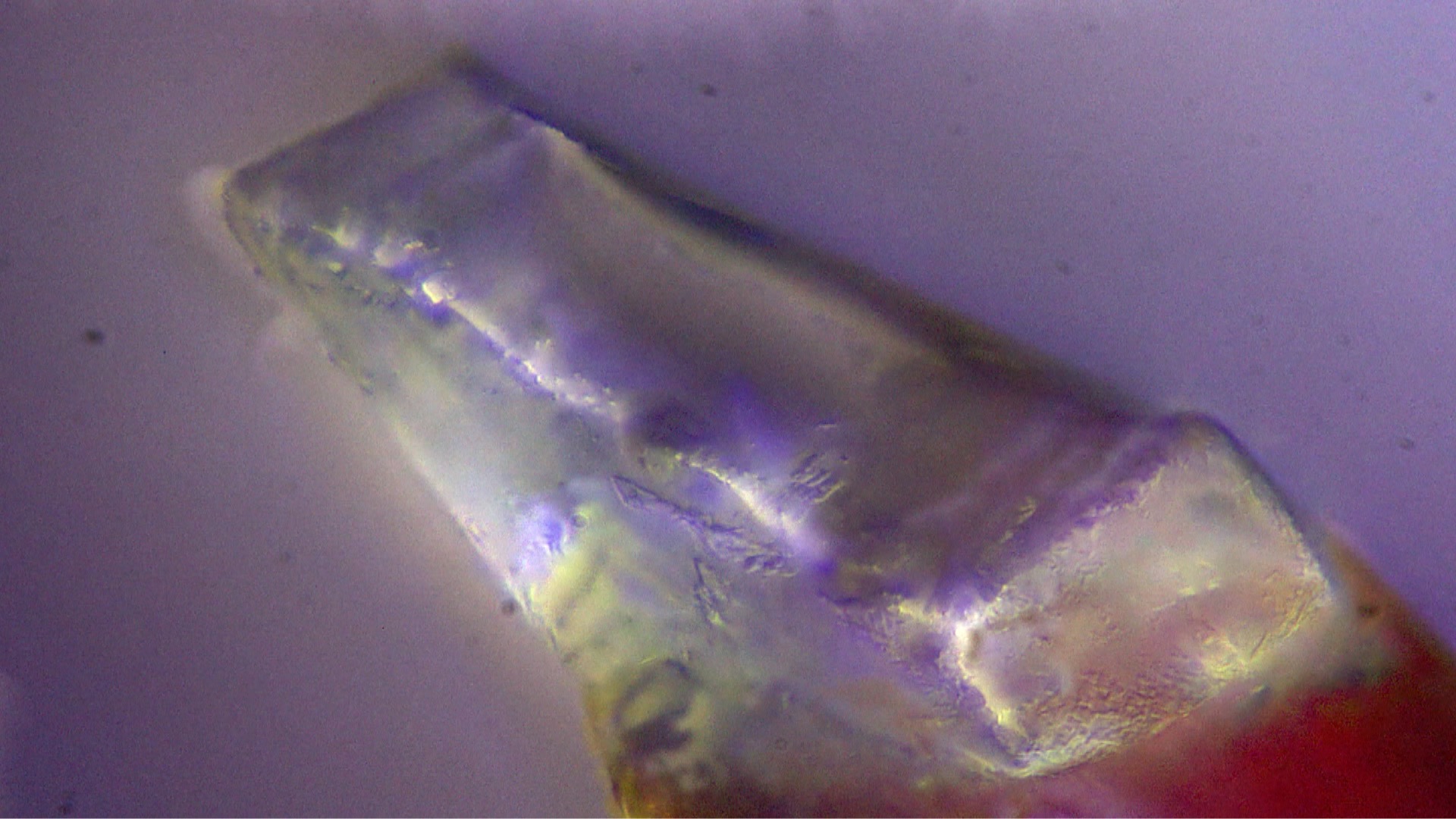 Mineral with water molecules discovered in Chang'e-5 lunar sample