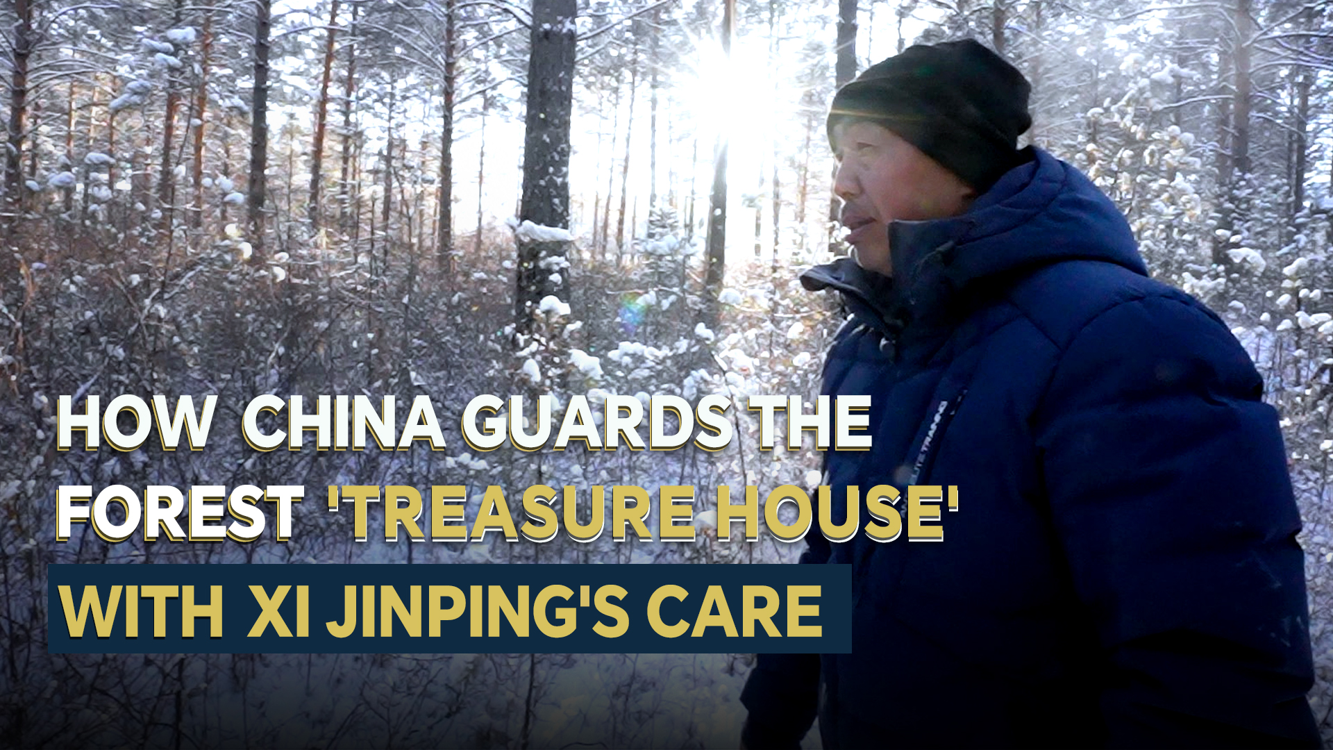 How China guards the forest 'treasure house' with Xi Jinping's care