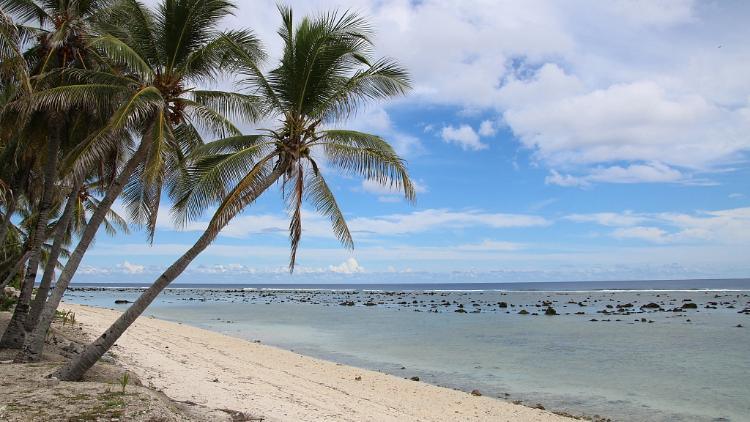 China collaborates with Pacific Island countries to enhance disaster management efforts