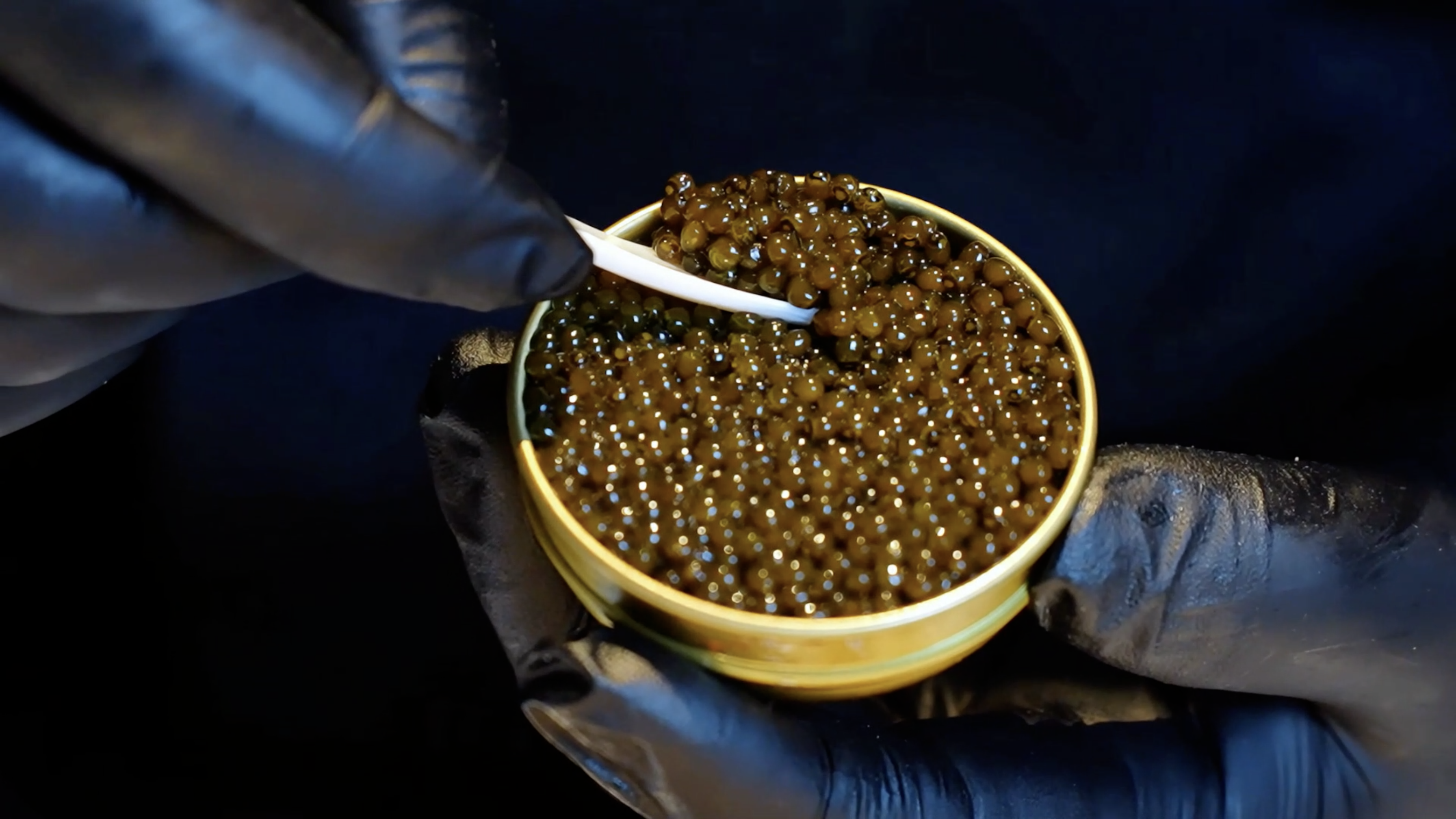 Cutting-edge tech helps China's Ya'an develop global caviar industry