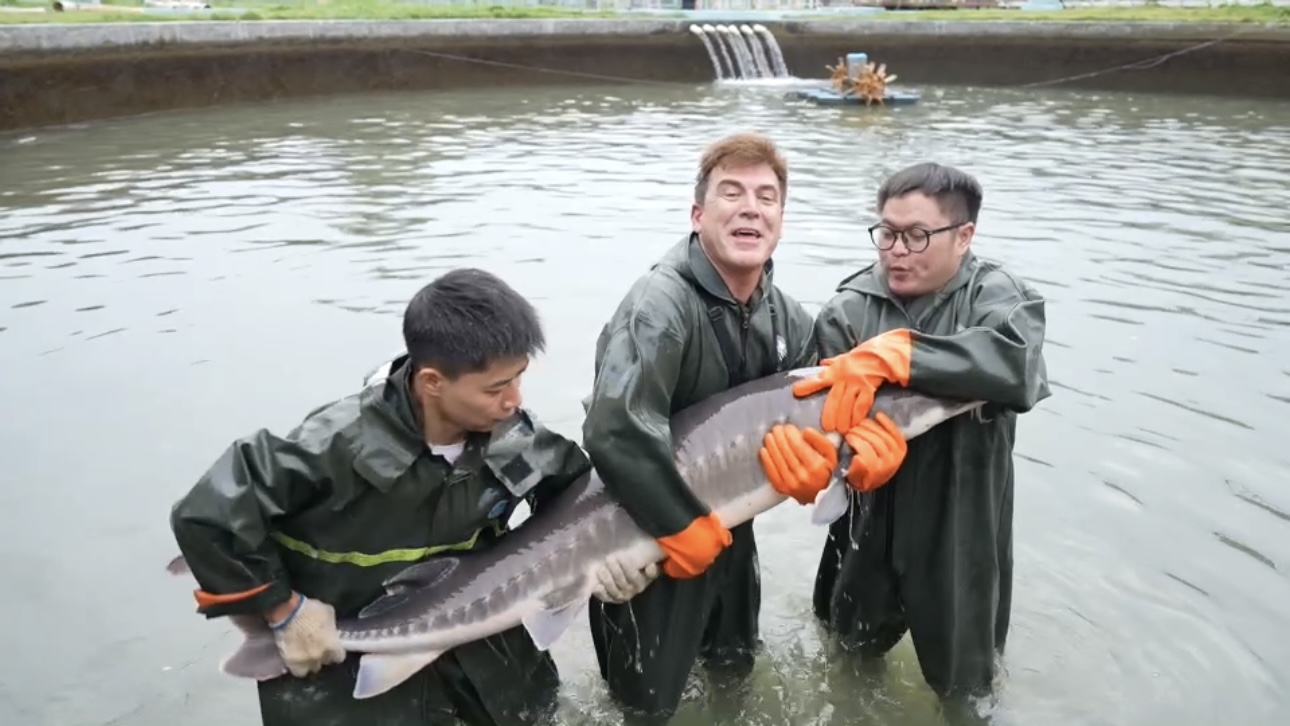 CGTN anchor attempts to catch a 500-pound sturgeon in China's Ya'an