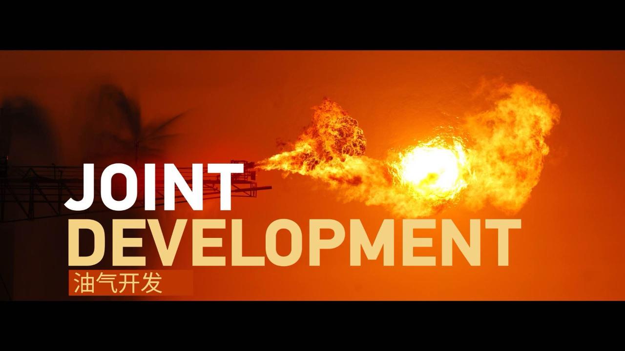 Joint Development - CGTN