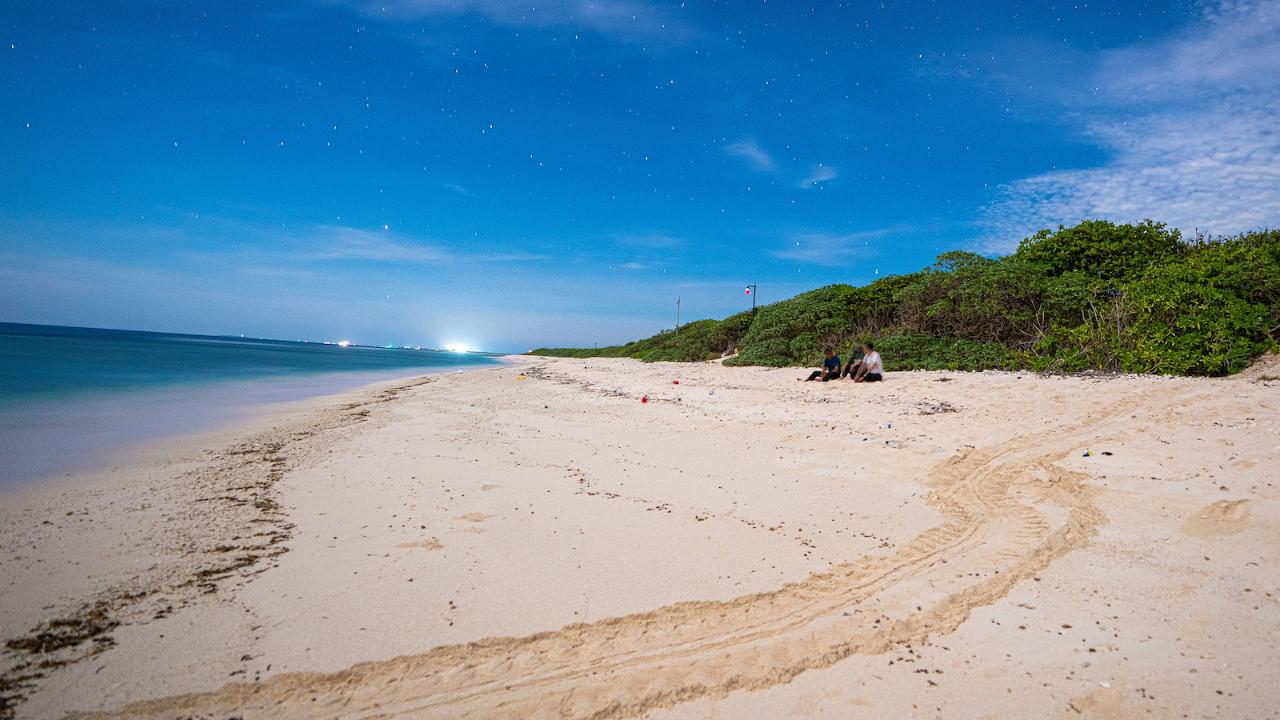 Sansha, China's Southernmost City, Advocates for Marine Conservation