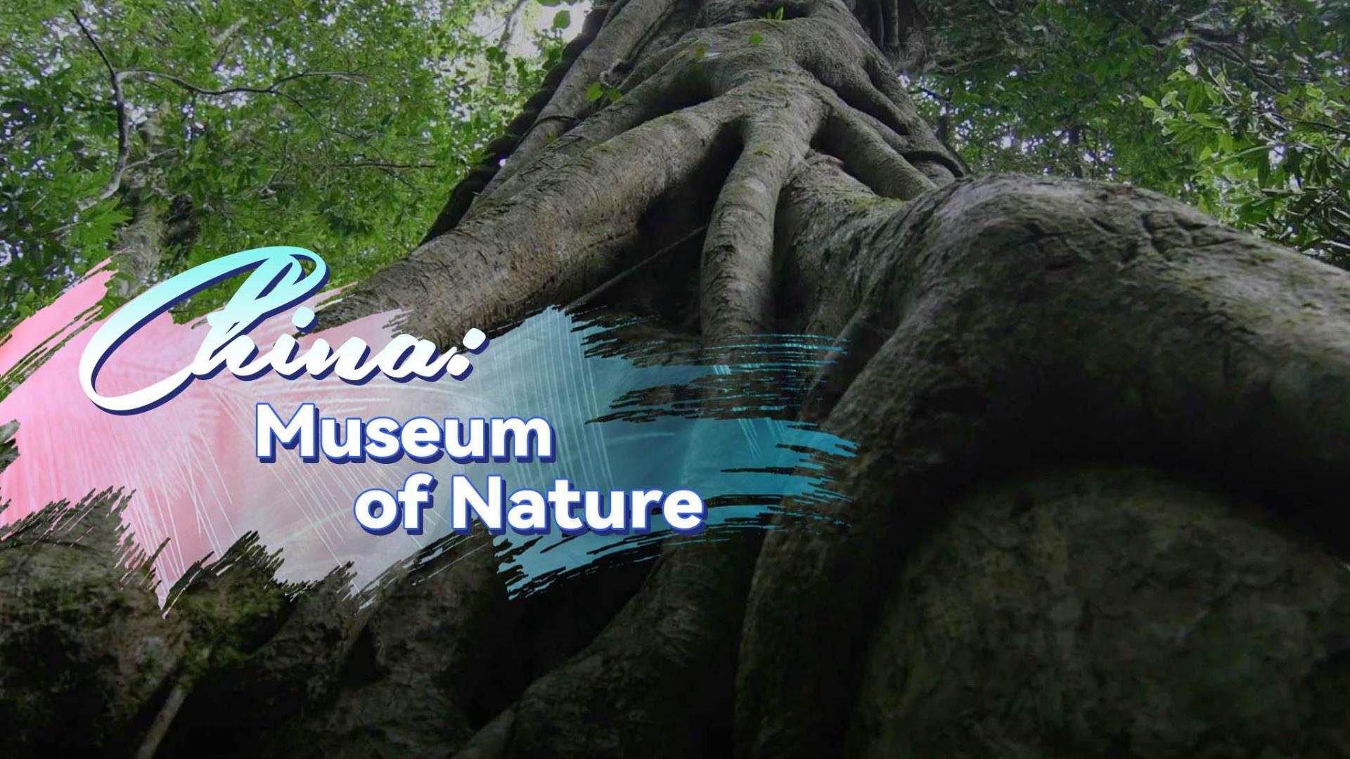 China: Museum of Nature - Exploring the Realm of Biodiversity