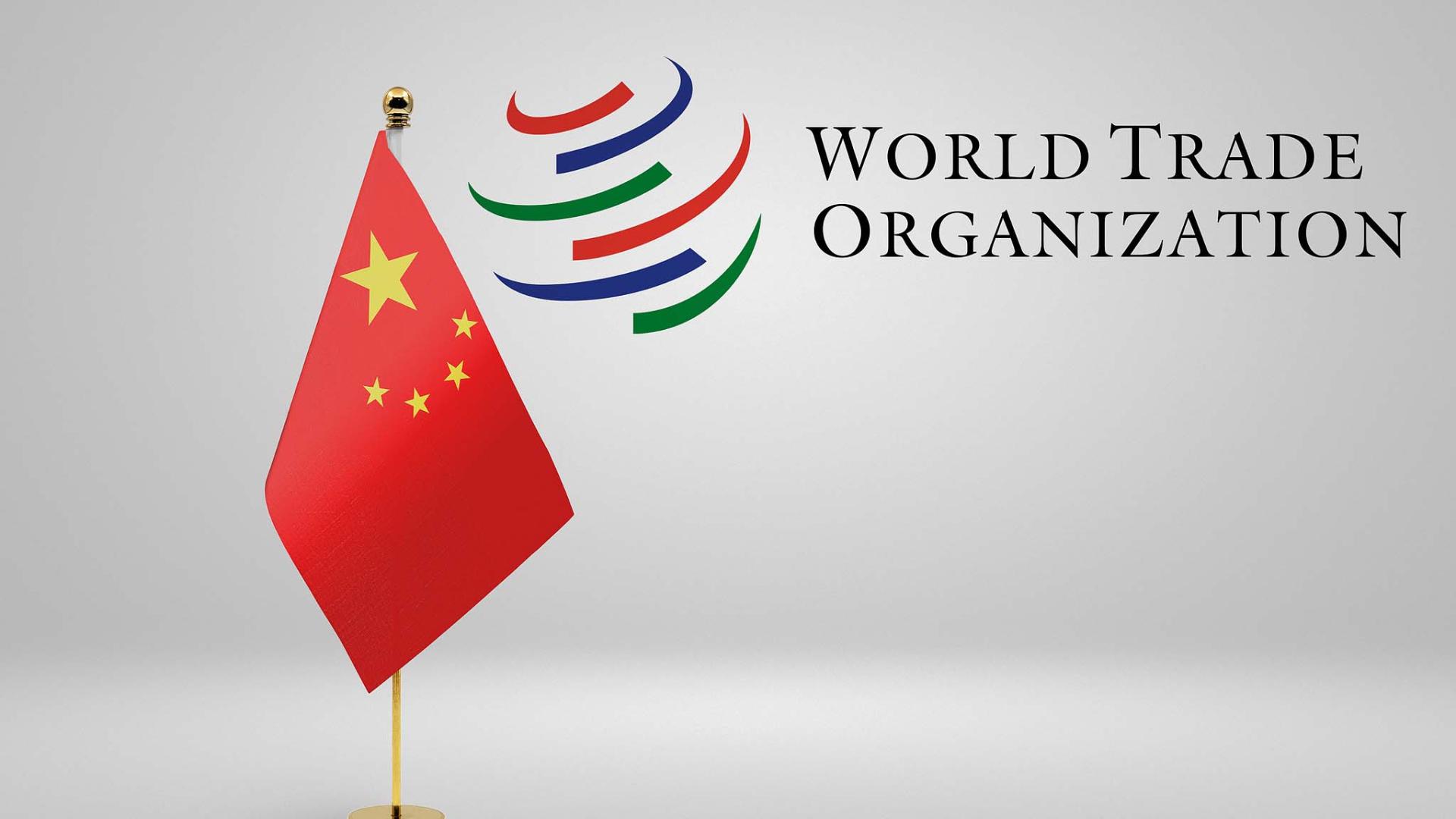 Cover image for A Chinese Perspective on the WTO