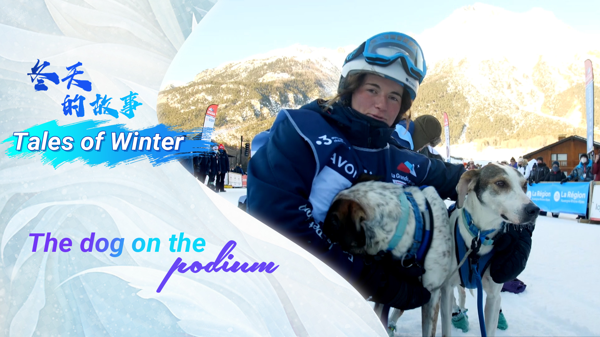 Tales of winter: The dog on the podium