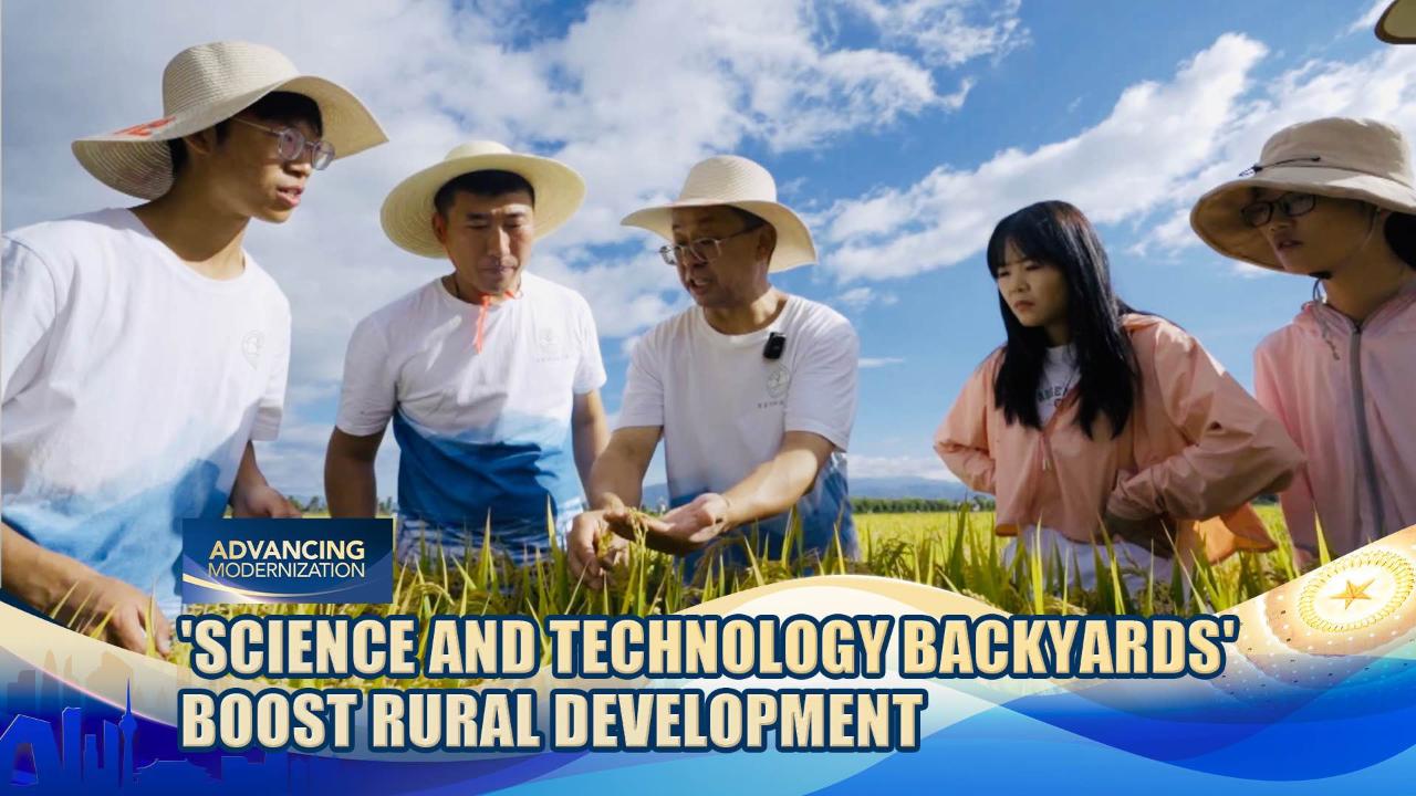 China's 'Science and Technology Backyards' boost rural development - CGTN