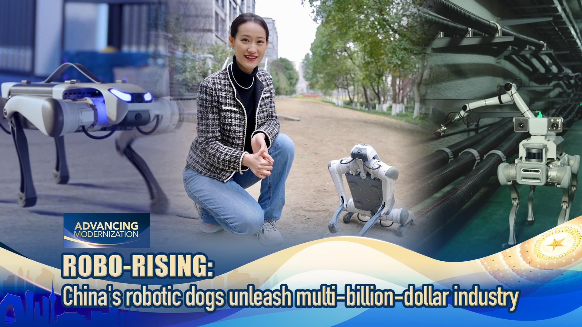 China's robotic 'dogs' unleash multi-billion-dollar industry