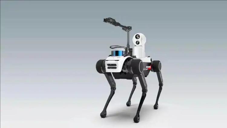 Humanoid robotics to make impact across industries - CGTN