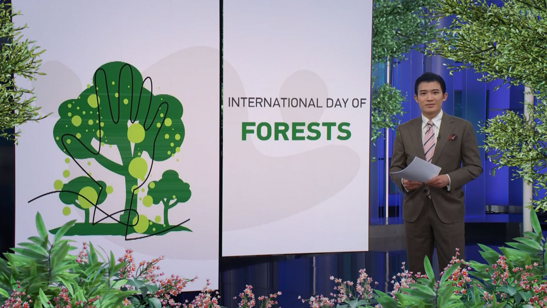 International Day Of Forests: China's Efforts In Forest Conservation - Cgtn