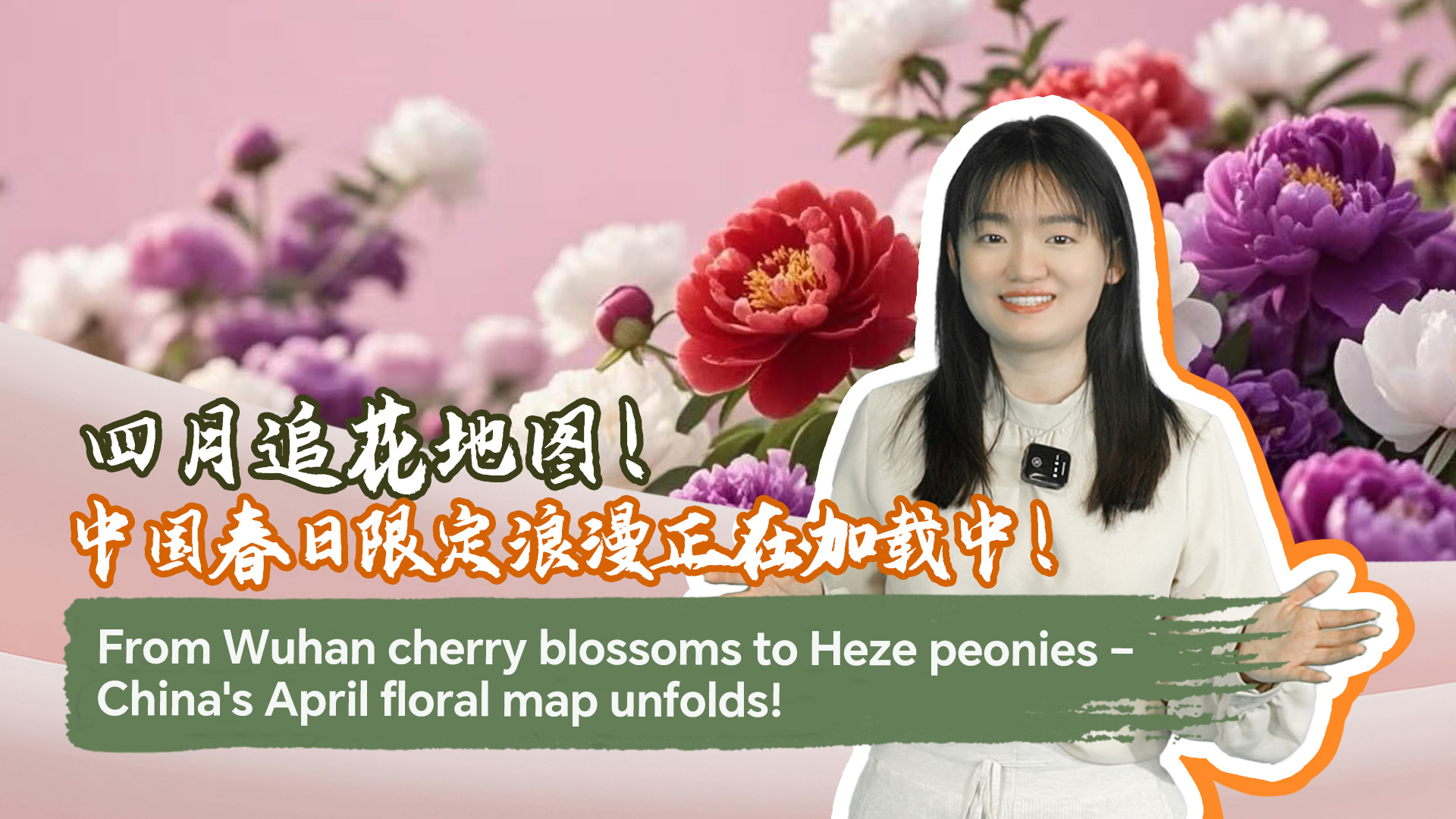 From Wuhan cherry blossoms to Heze peonies – China's April floral map