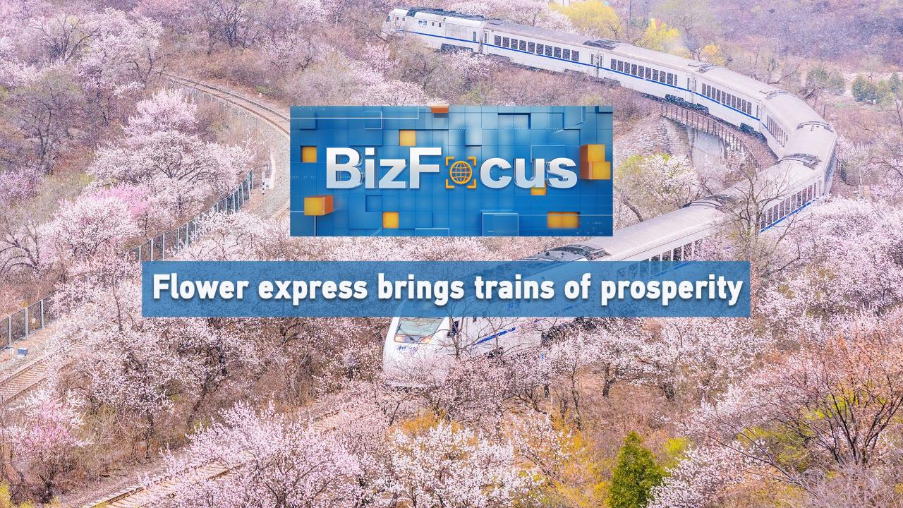 BizFocus Ep.124: Flower express brings trains of prosperity