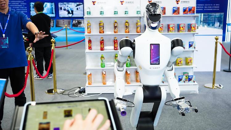 Analyst: China seeks to bridge global digital divide - CGTN