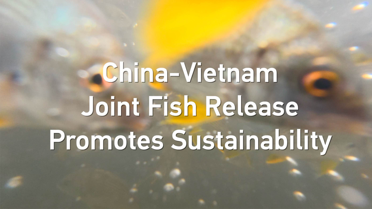 China-Vietnam Joint Fish Release Promotes Sustainability