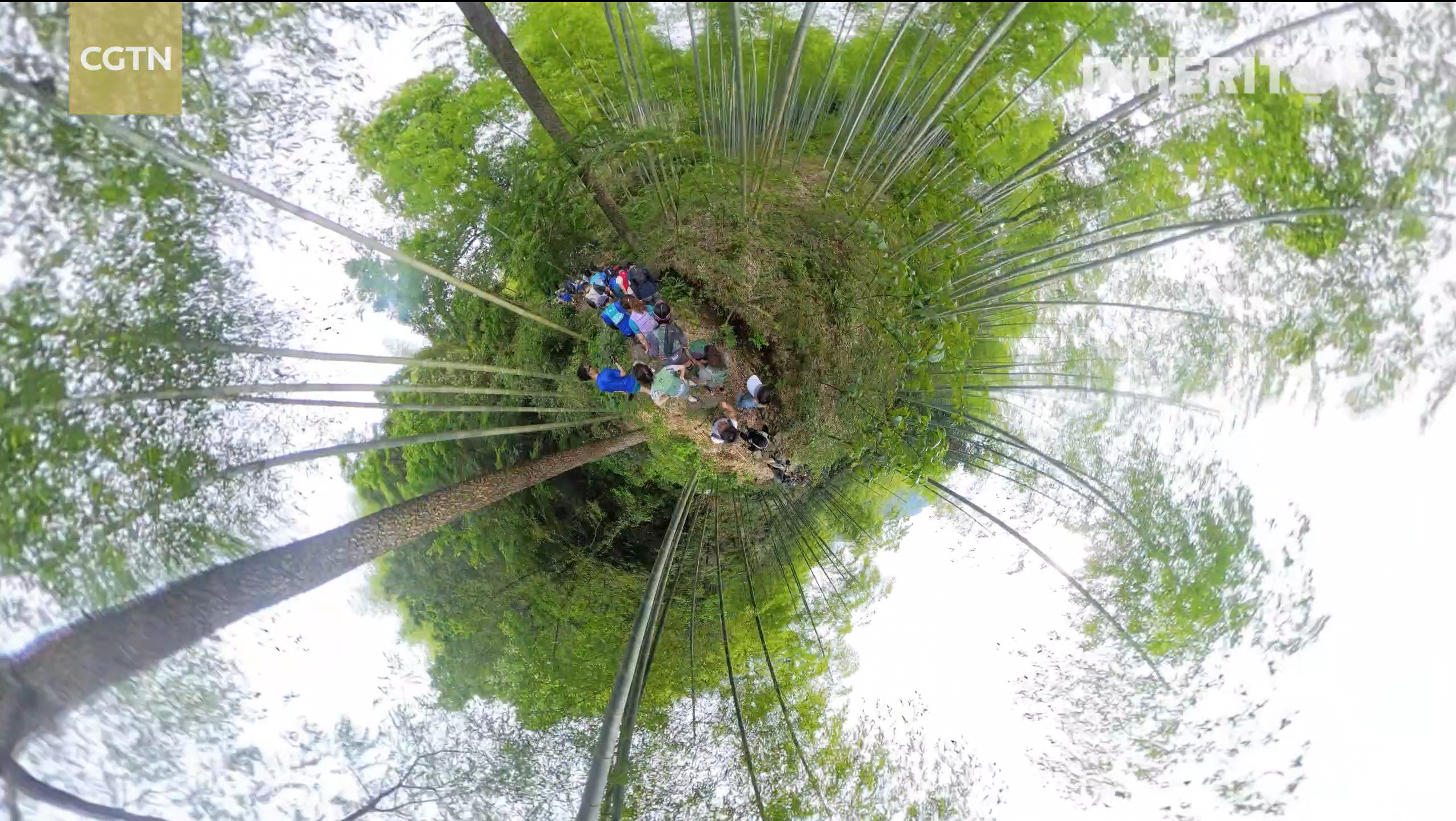 Nature takes you for a spin