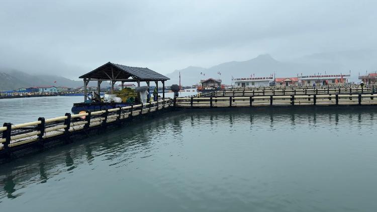 Sustainable shift in Sandu'ao: Honoring World Ocean Day