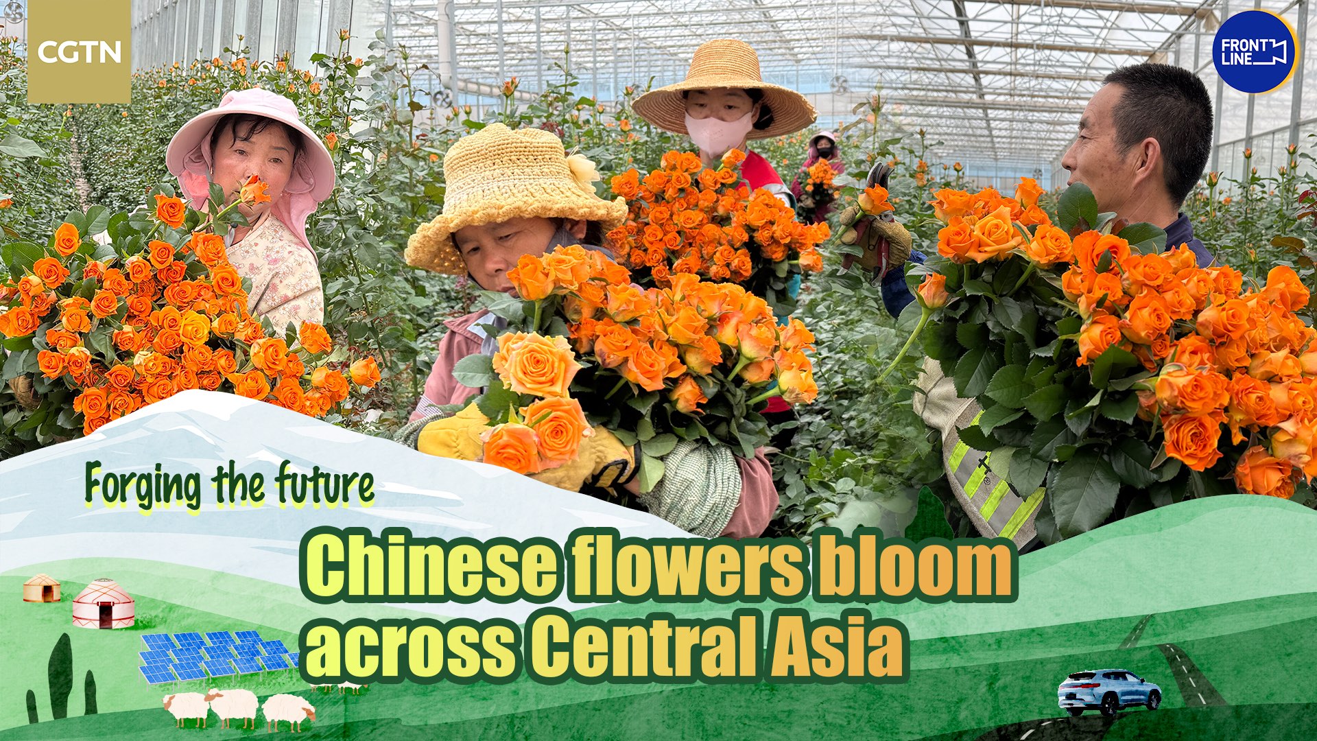 Yunnan's fresh-cut flowers find fertile ground in Central Asia