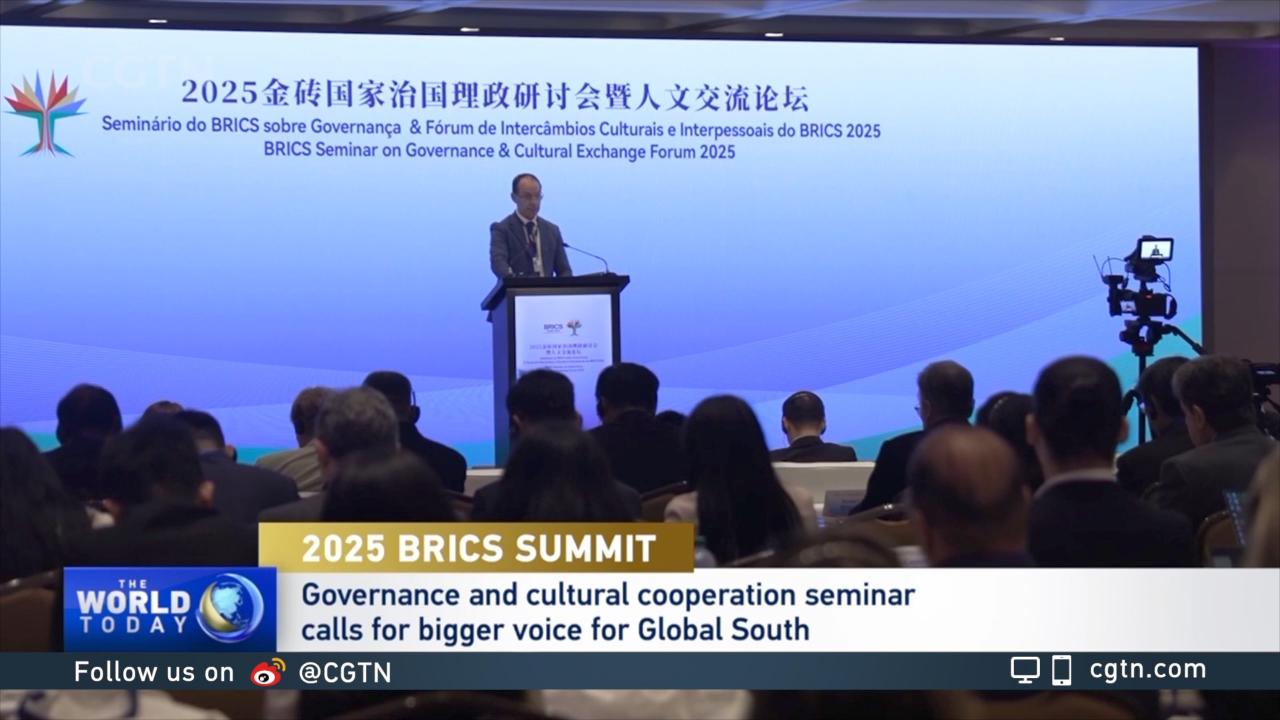 Experts discuss governance and cultural exchange ahead of BRICS Summit
