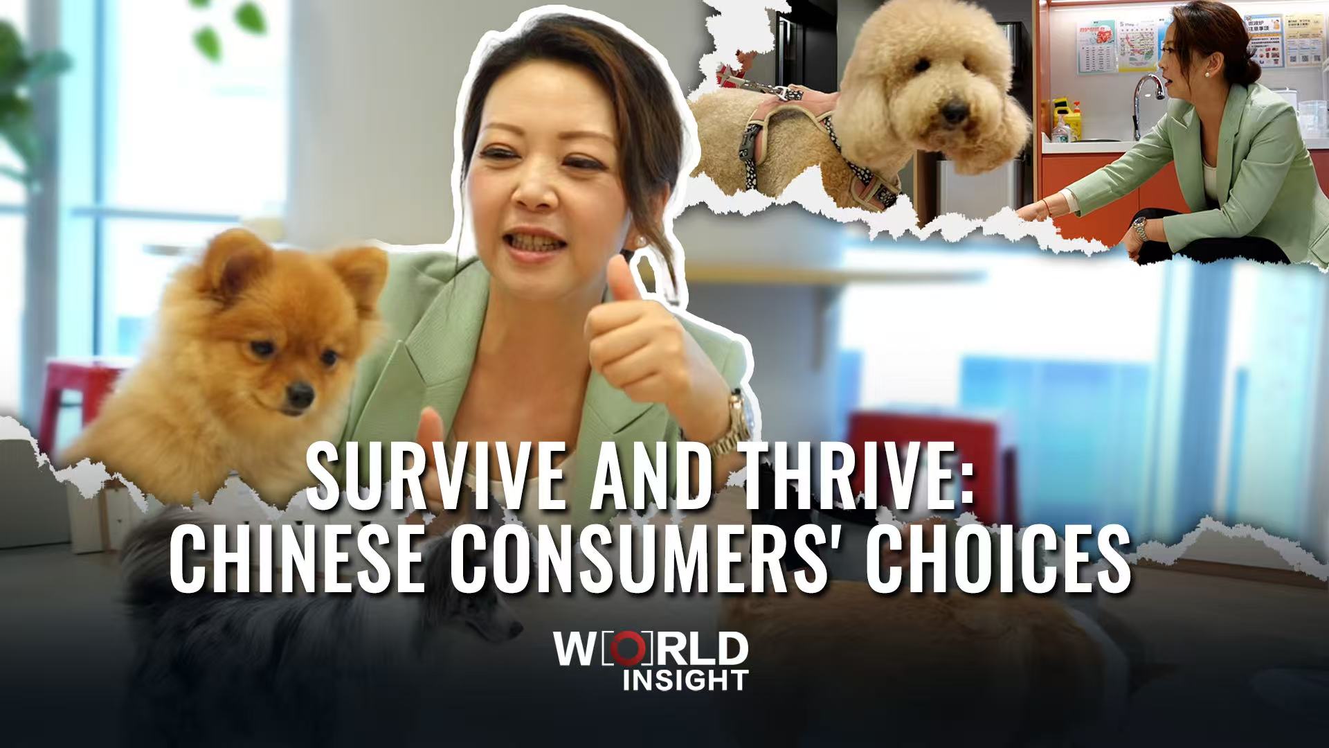 Survive and Thrive: Chinese Consumers' Choices