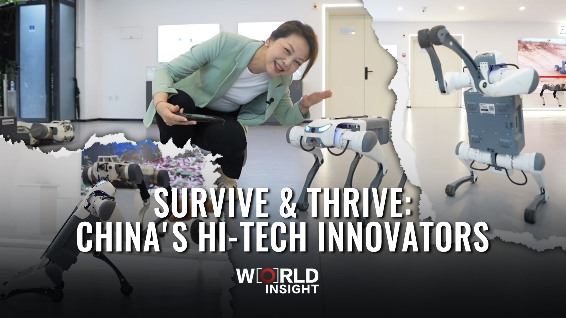 Survive & Thrive: China's Hi-Tech Innovators