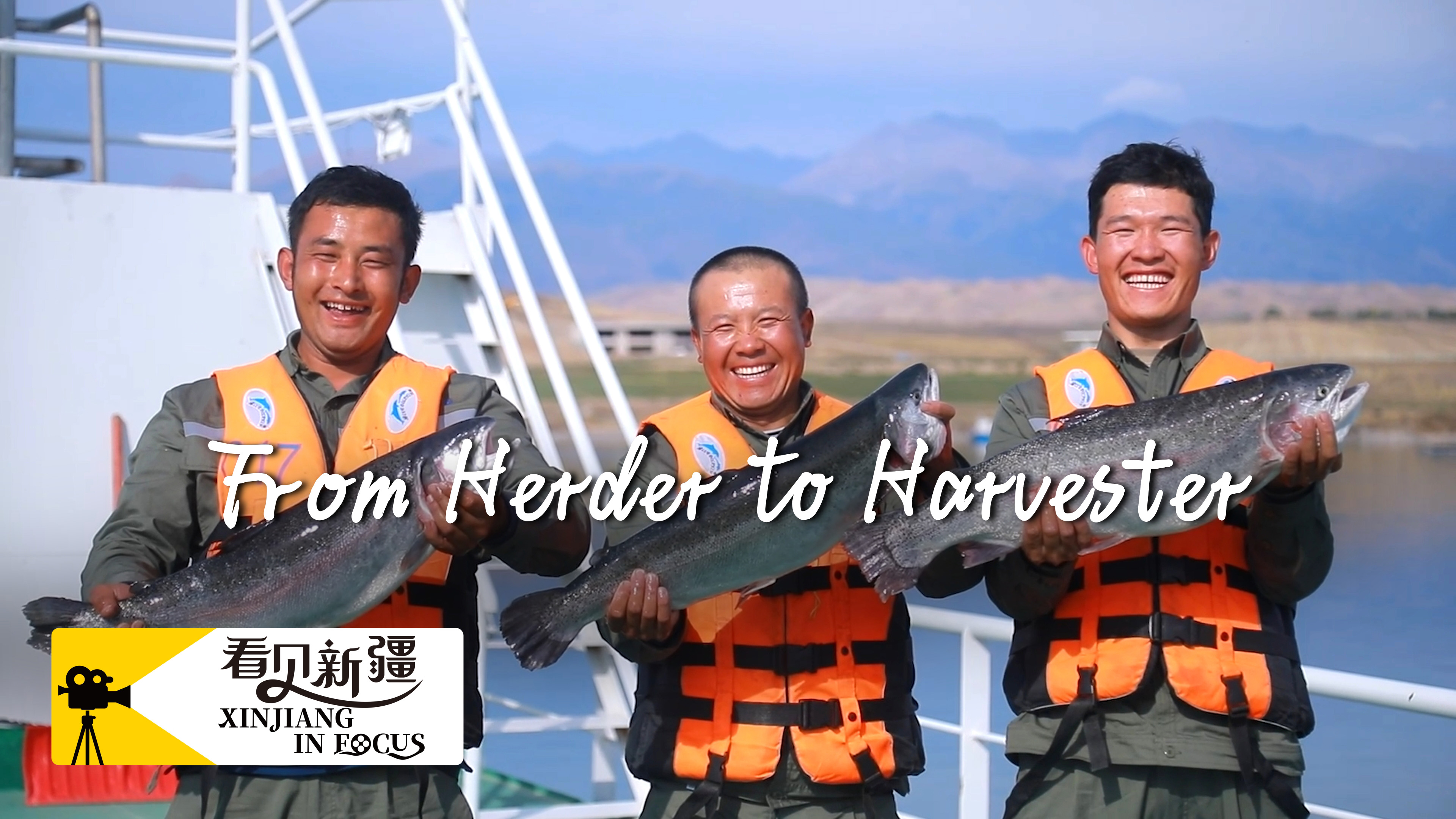 From herder to harvester: Xinjiang salmon fishing makes a splash