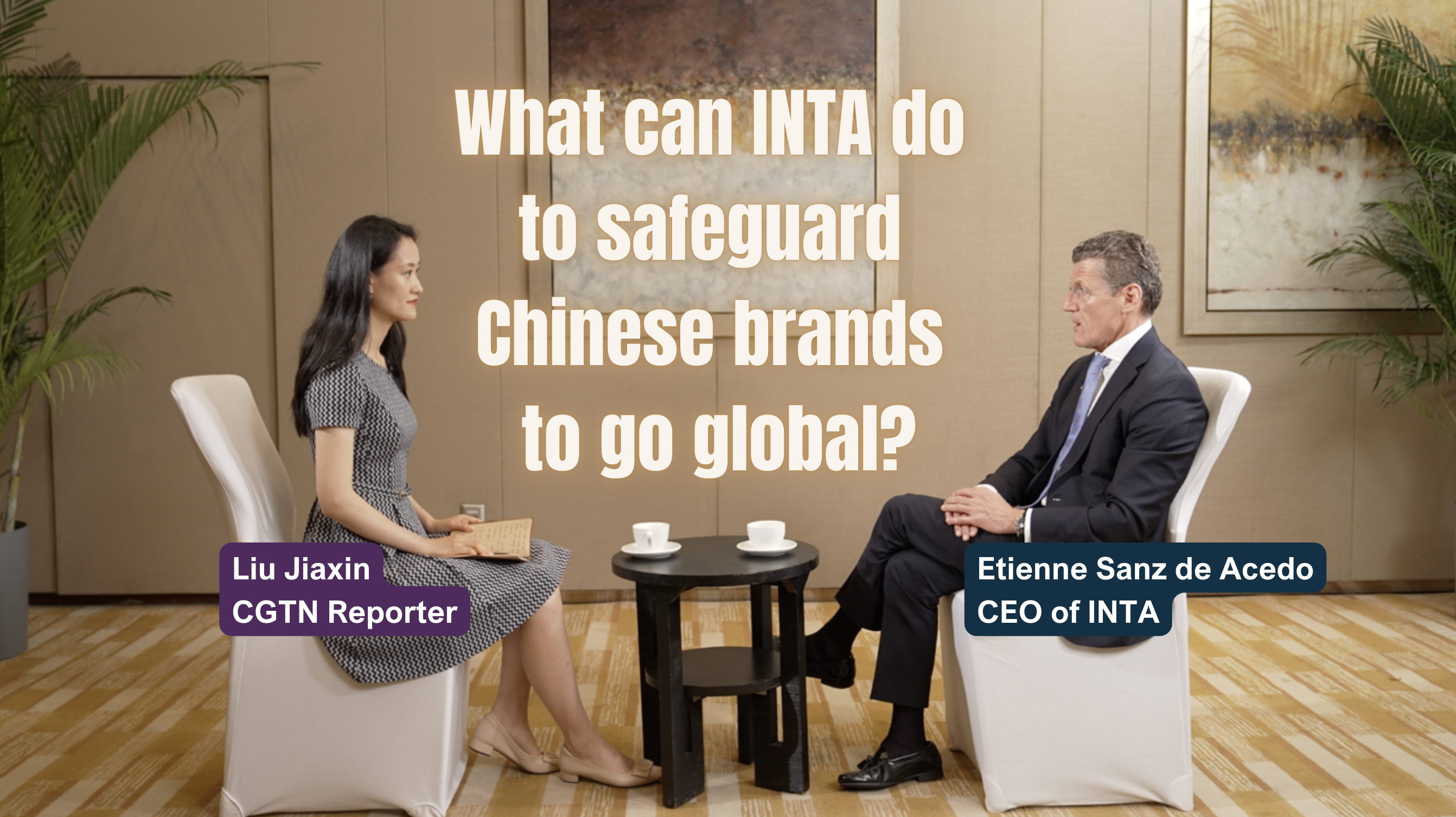 What can INTA do to safeguard Chinese brands going global?