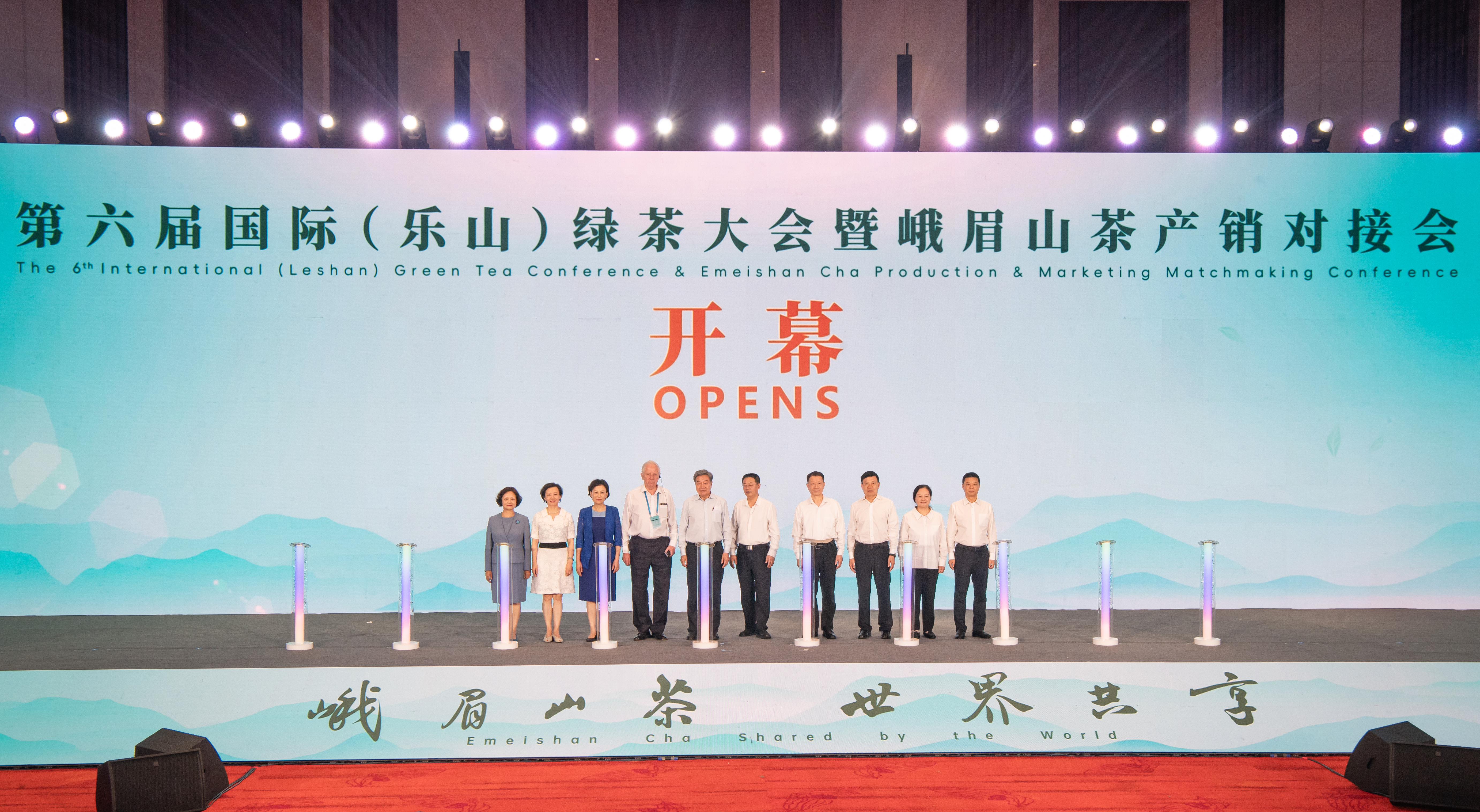 Global green tea summit puts Chinese tea on world stage