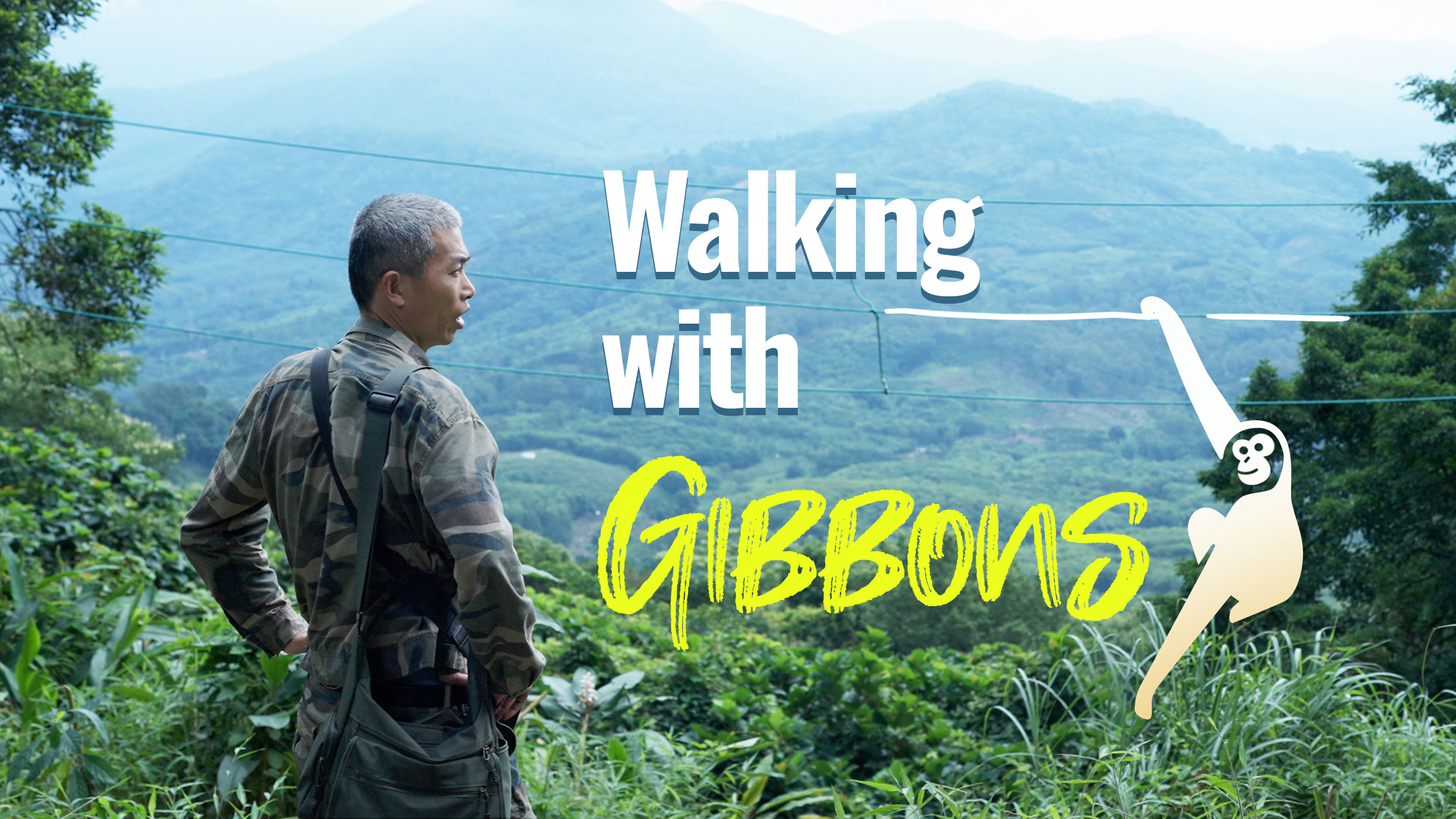 Walking with Gibbons
