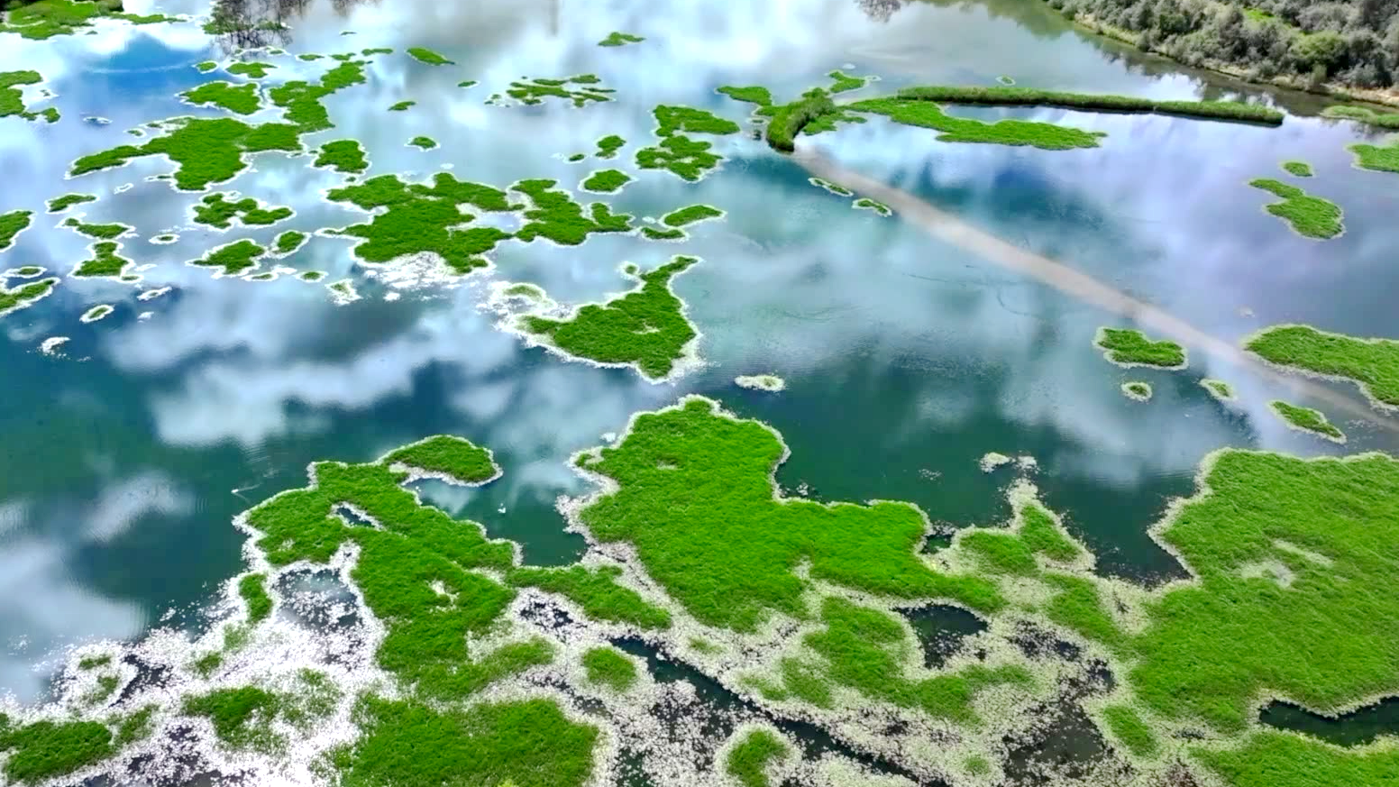 Scientist unlocks secrets of Xizang's alpine wetlands 