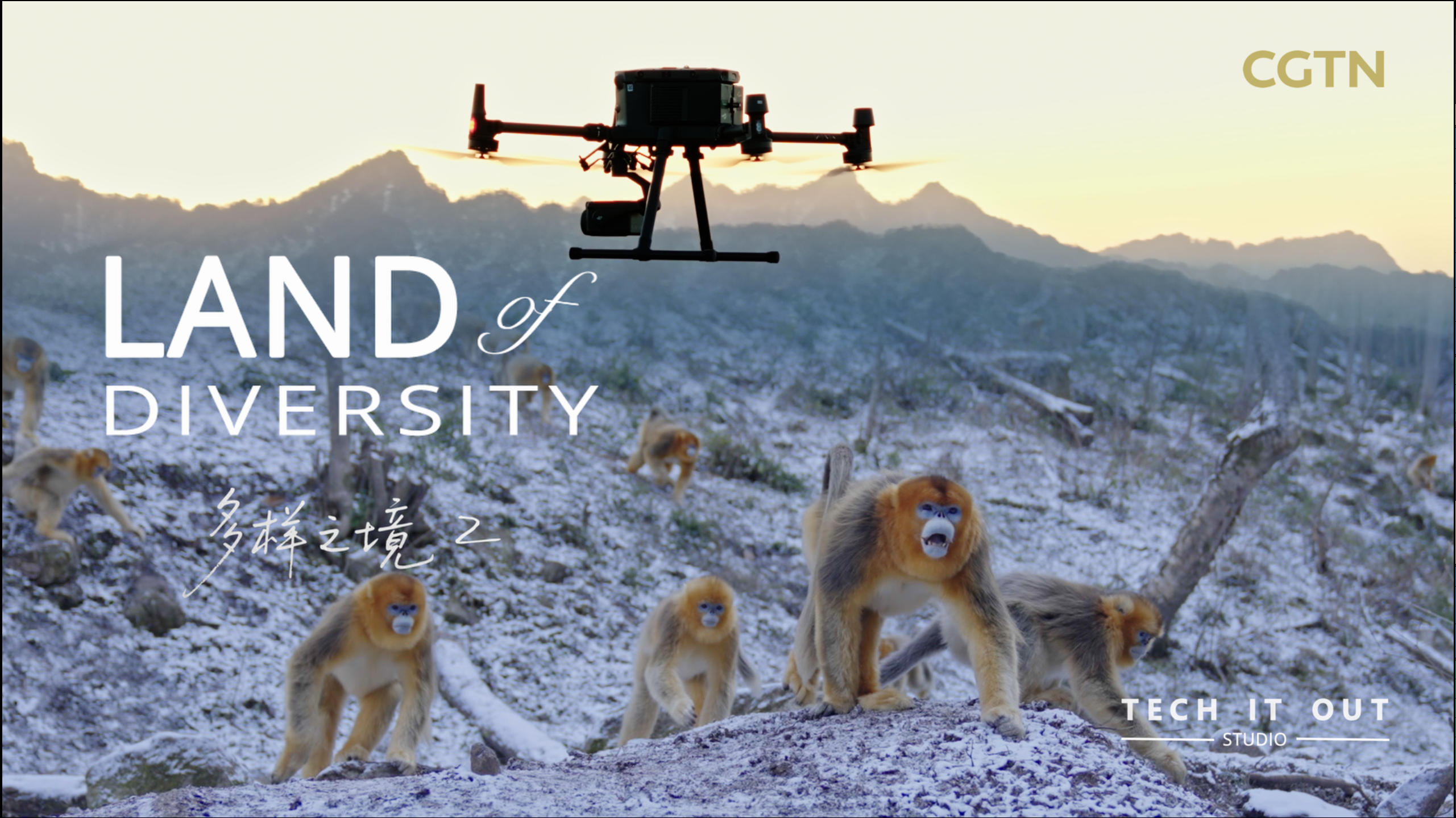 Smart monkeys, smarter tech