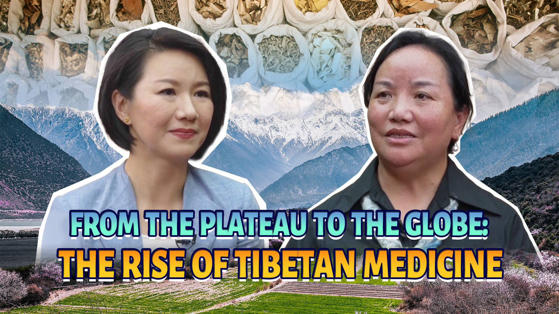 From the plateau to the globe: The rise of Tibetan medicine