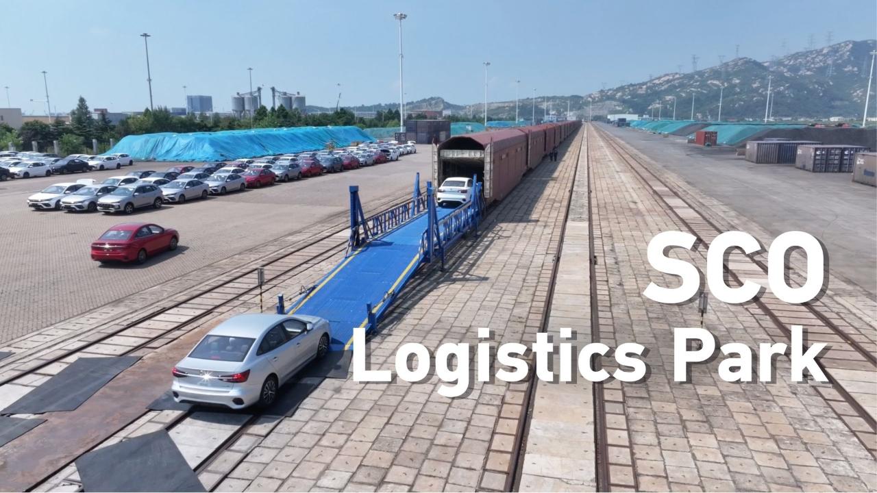 East China's SCO logistics park links Asia with world