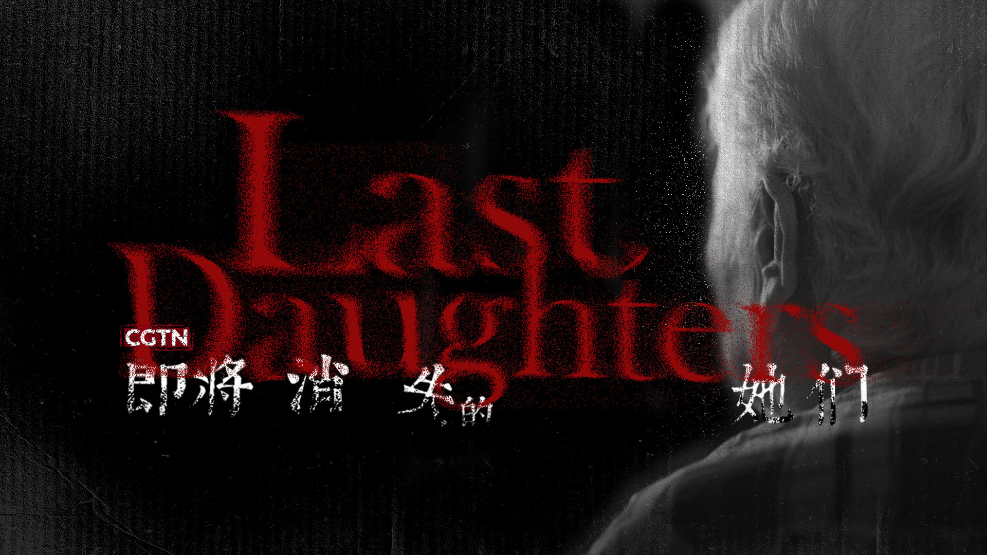 Last Daughters: Voices of Chinese and Filipina WWII sex slaves