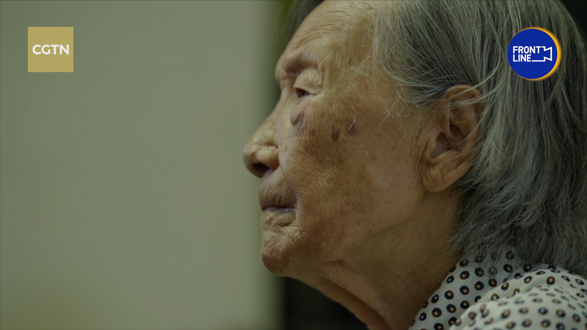Nanjing Massacre survivor still calls for justice