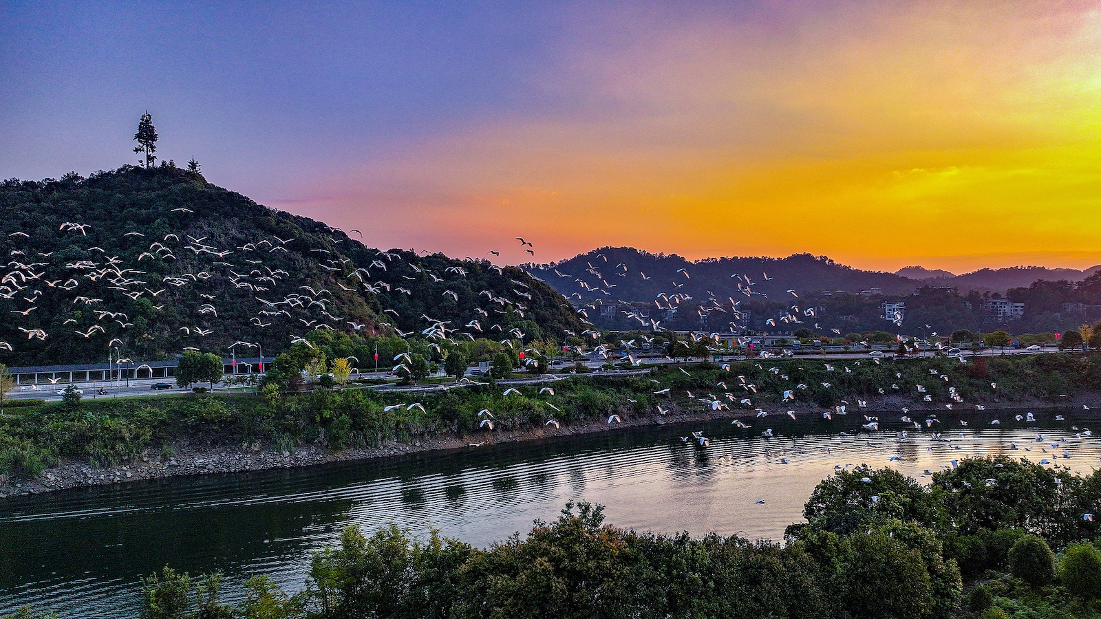 East China's Hangzhou to host 5th World Congress of Biosphere Reserves