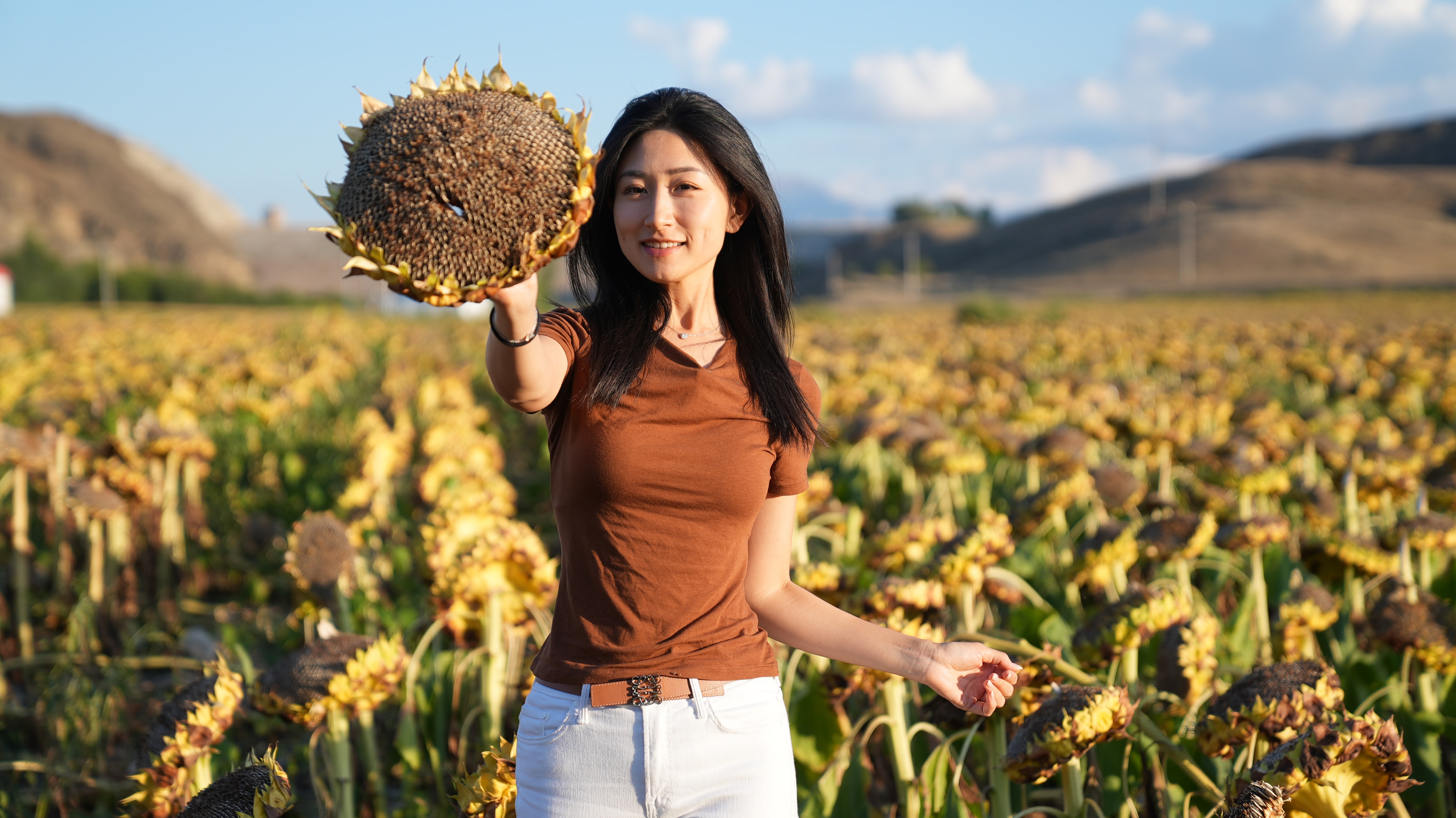 Beyond cotton and melons: Explore Xinjiang's specialized agriculture