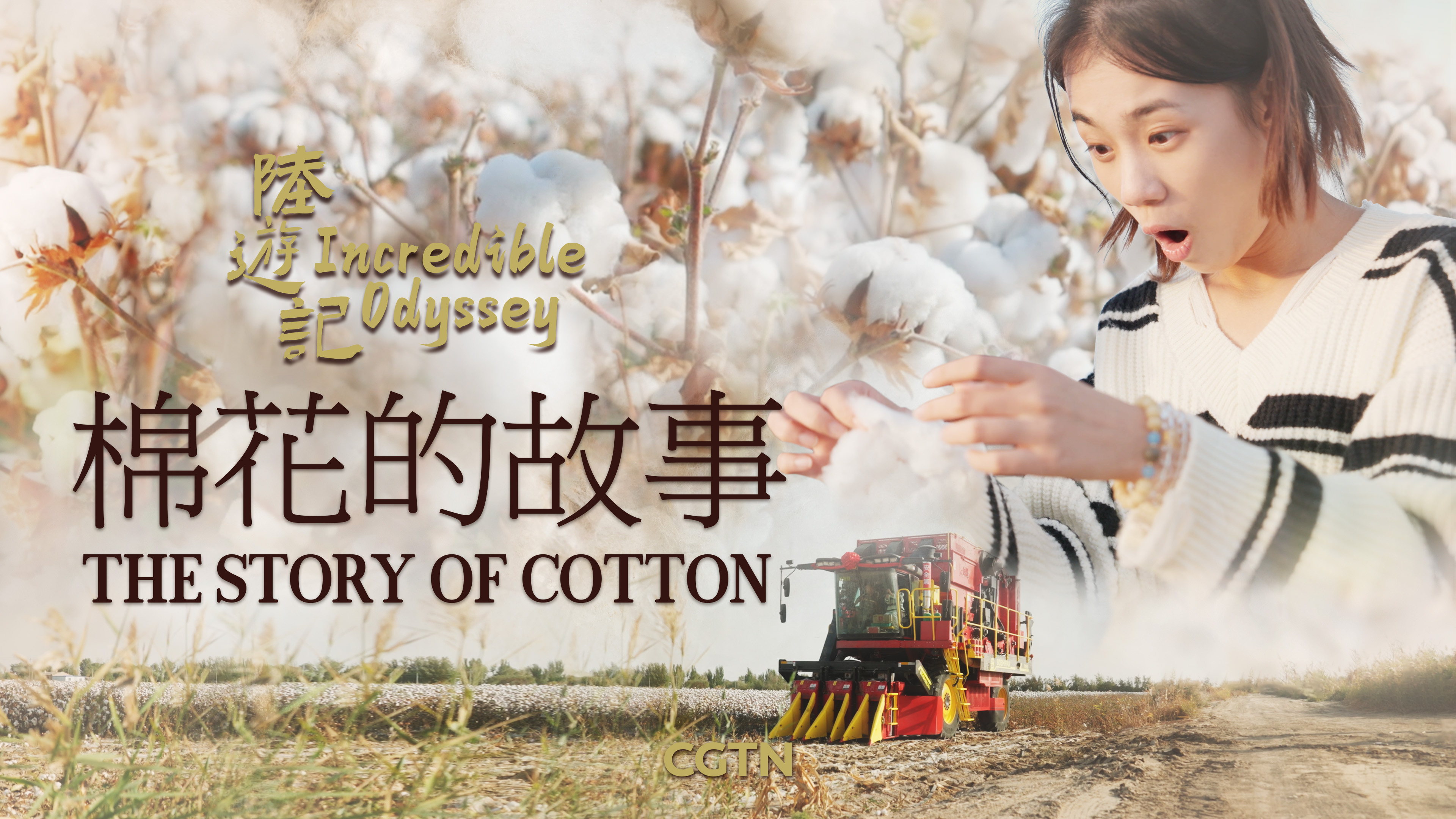 Incredible Odyssey: The story of cotton