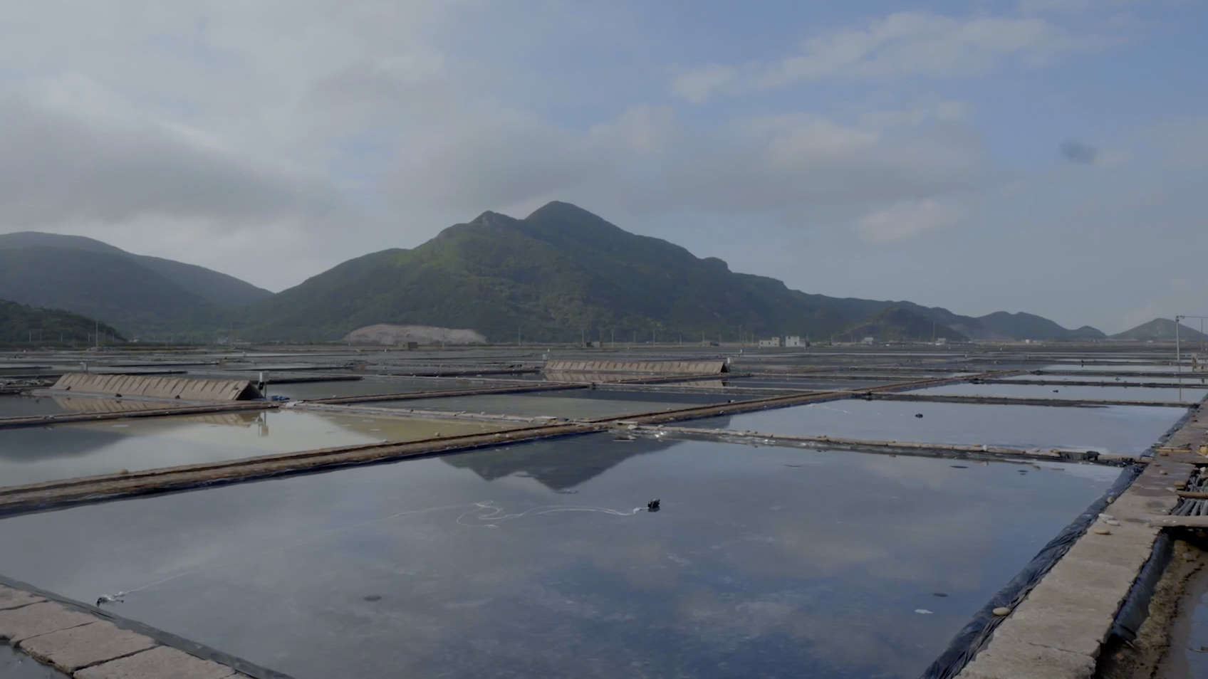 Guardians of the blue planet: Zhejiang sea salt sun-drying heritage