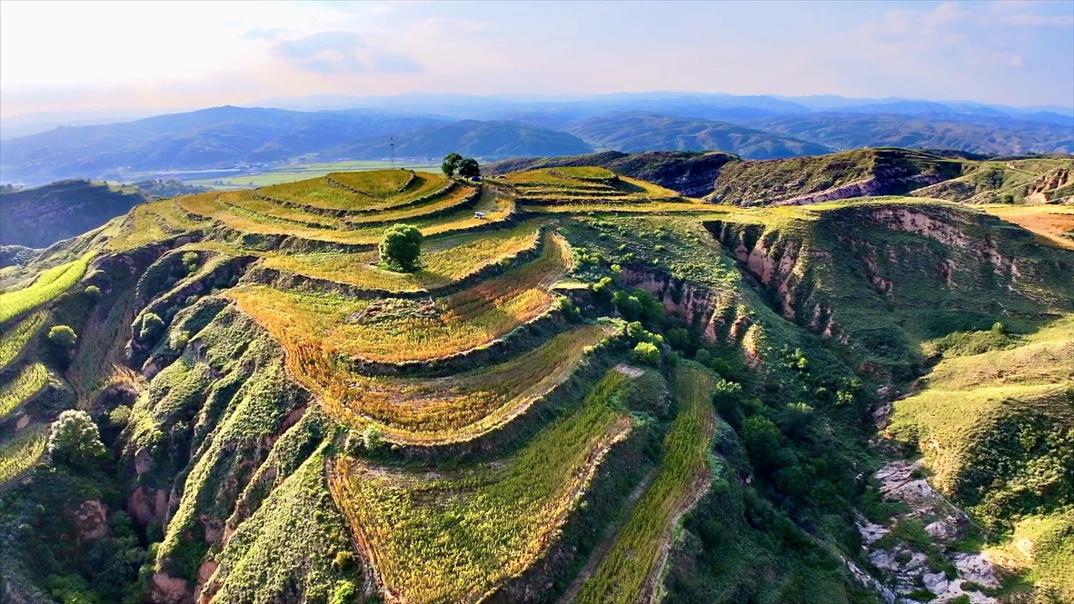 Quinoa terraces on Loess Plateau burst with colors