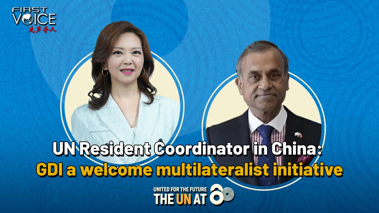 GDI a welcome multilateral initiative: UN resident coordinator - CGTN