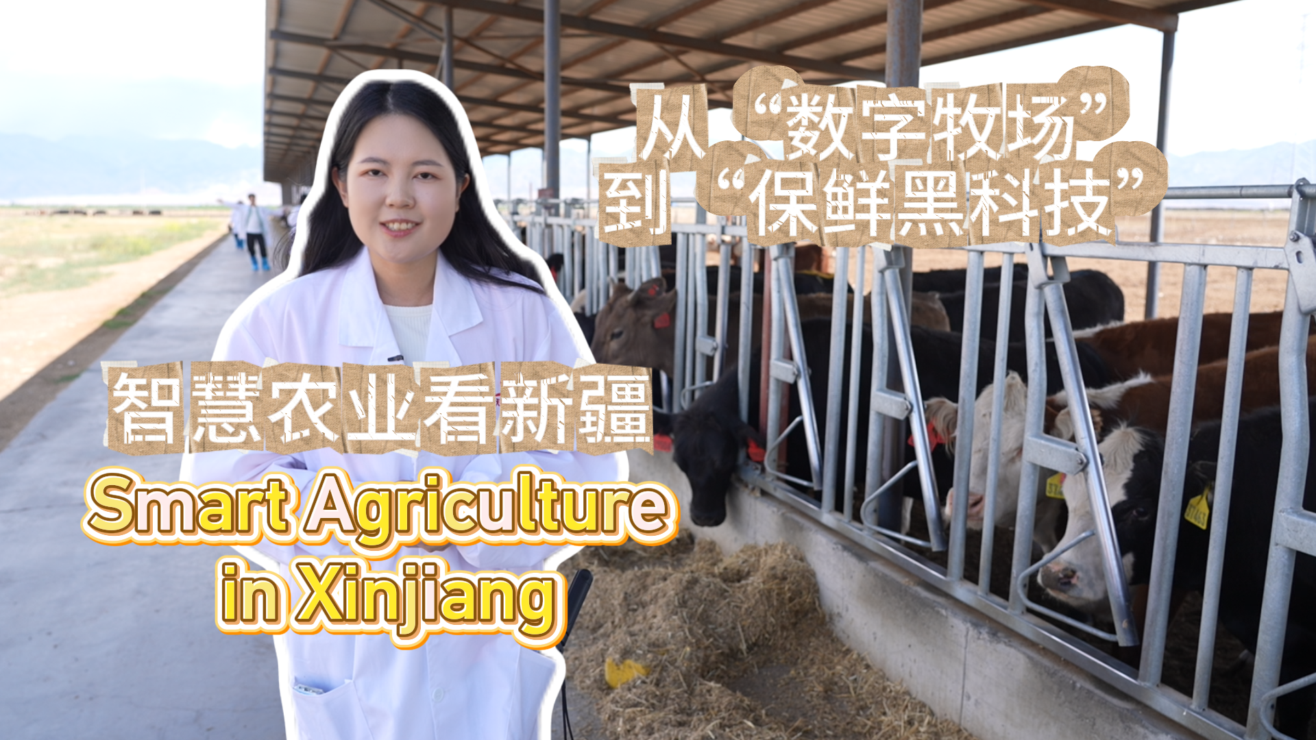 Smart agriculture in Xinjiang: Digital pastures and fresh innovation