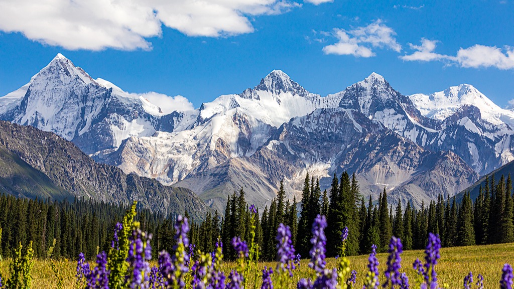 Xinjiang International Photography Contest invites entries