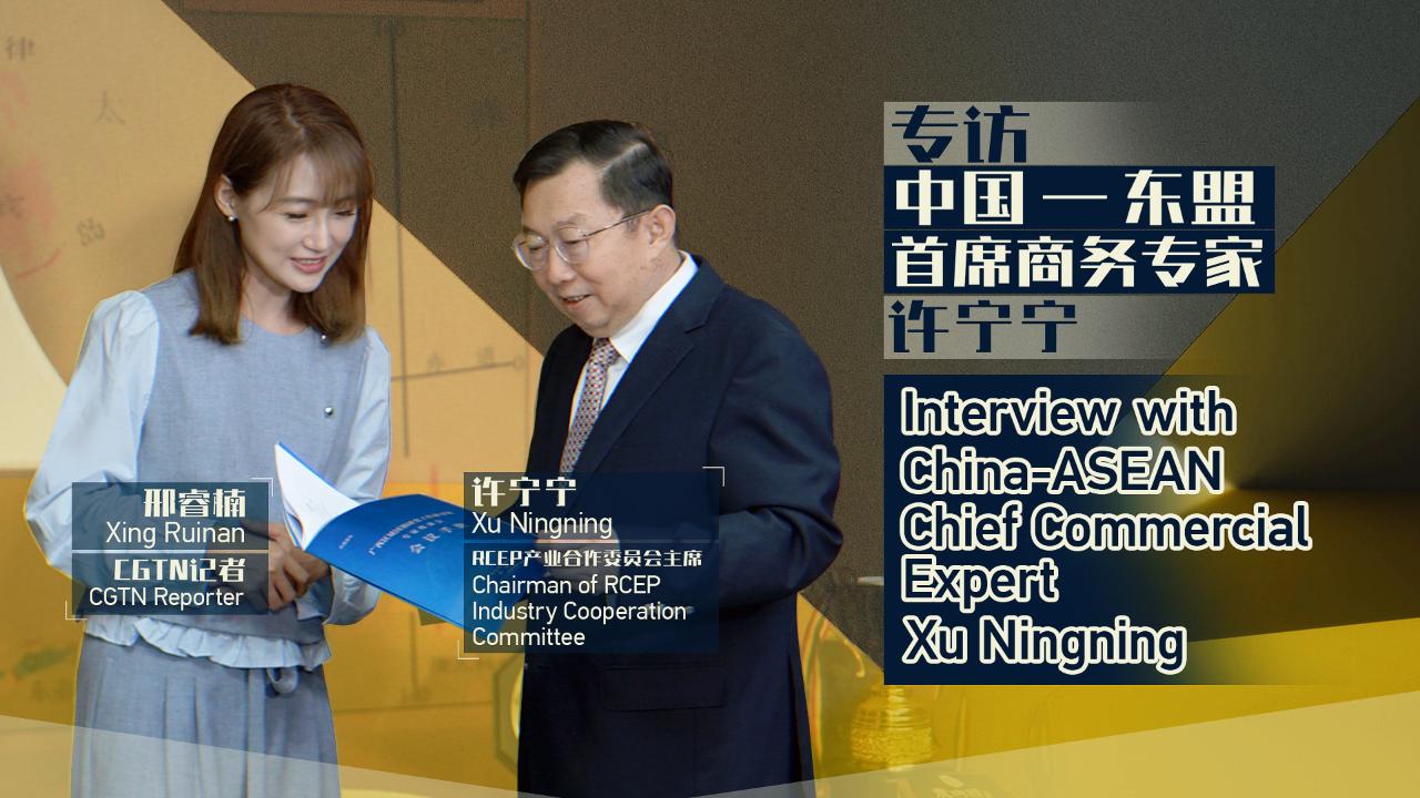Unlocking regional economic vitality of CAFTA 3.0 and RCEP - CGTN